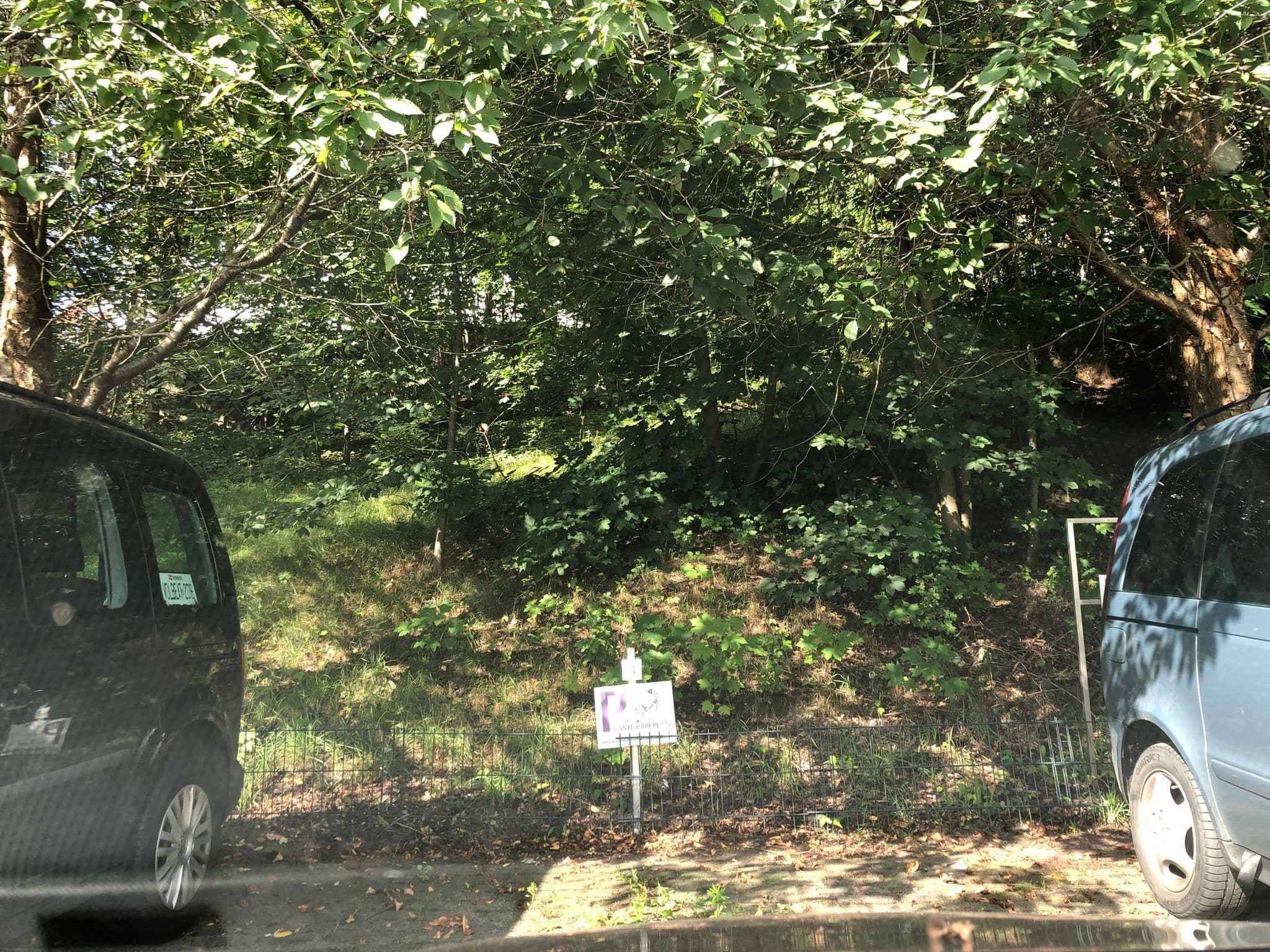 Street view near Gästehaus Lavendel, Flensburg — © mapnerd_dk (CC BY-SA · Mapillary)