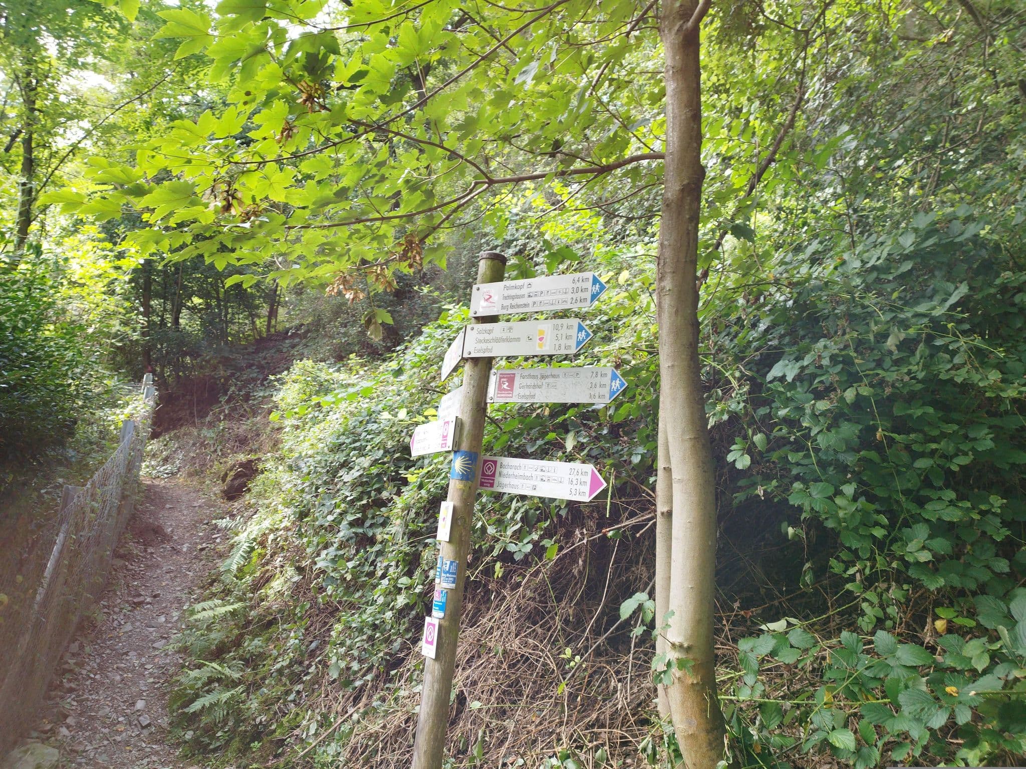 Street view near Burg Rheinstein, Trechtingshausen — © ber319 (CC BY-SA · Mapillary)