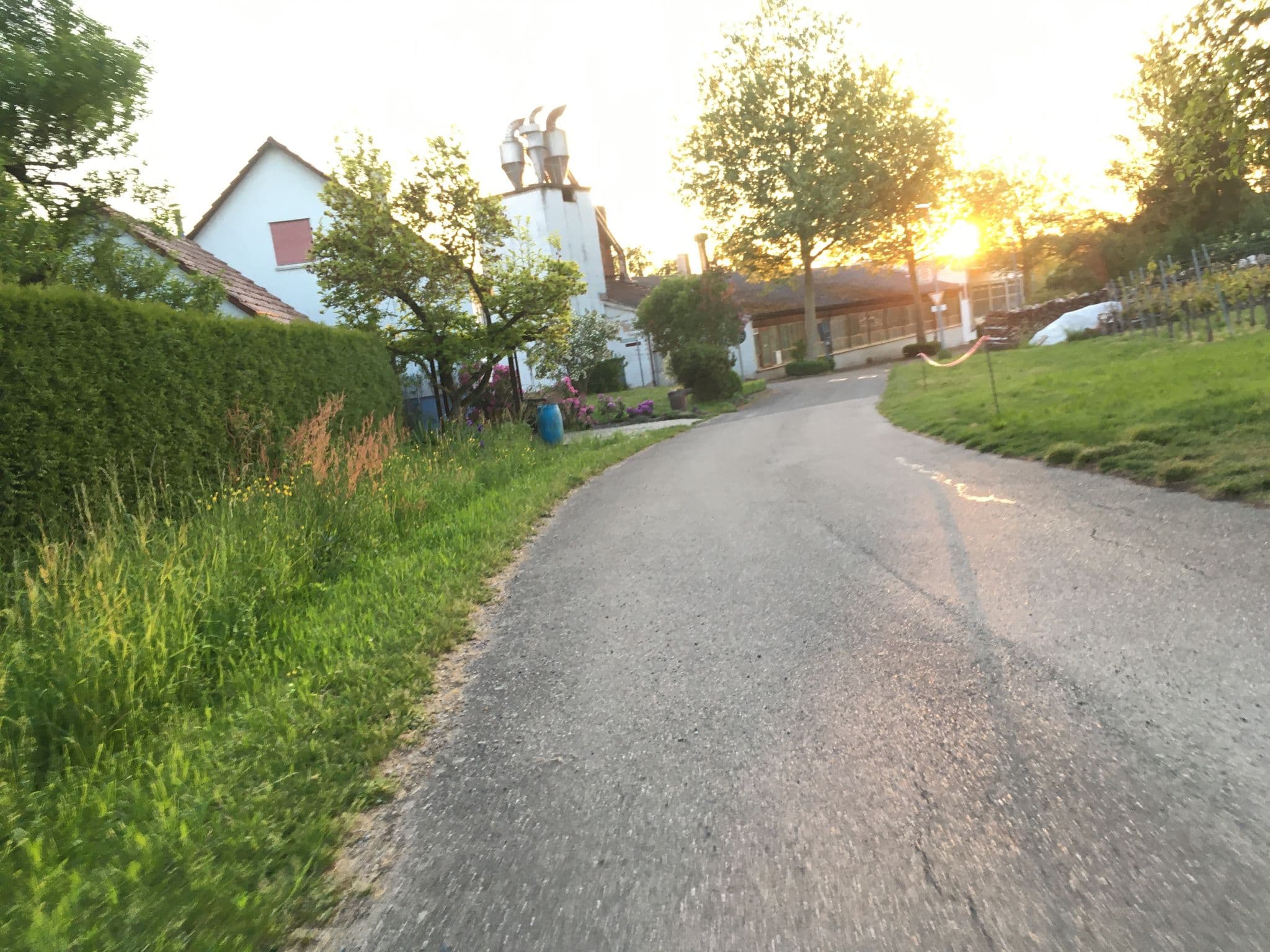 Street view near Müllers Weingut, Nordheim — © changchun1 (CC BY-SA · Mapillary)