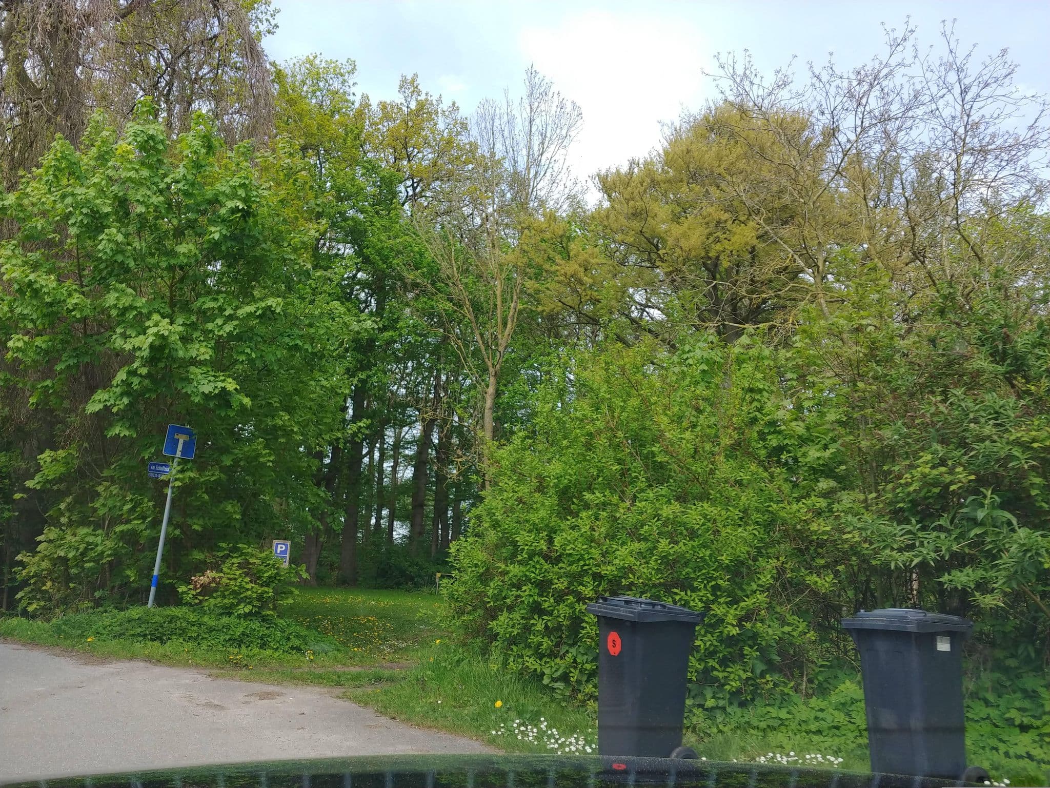 Street view near Herrenhaus, Bobitz — © tomatsn (CC BY-SA · Mapillary)
