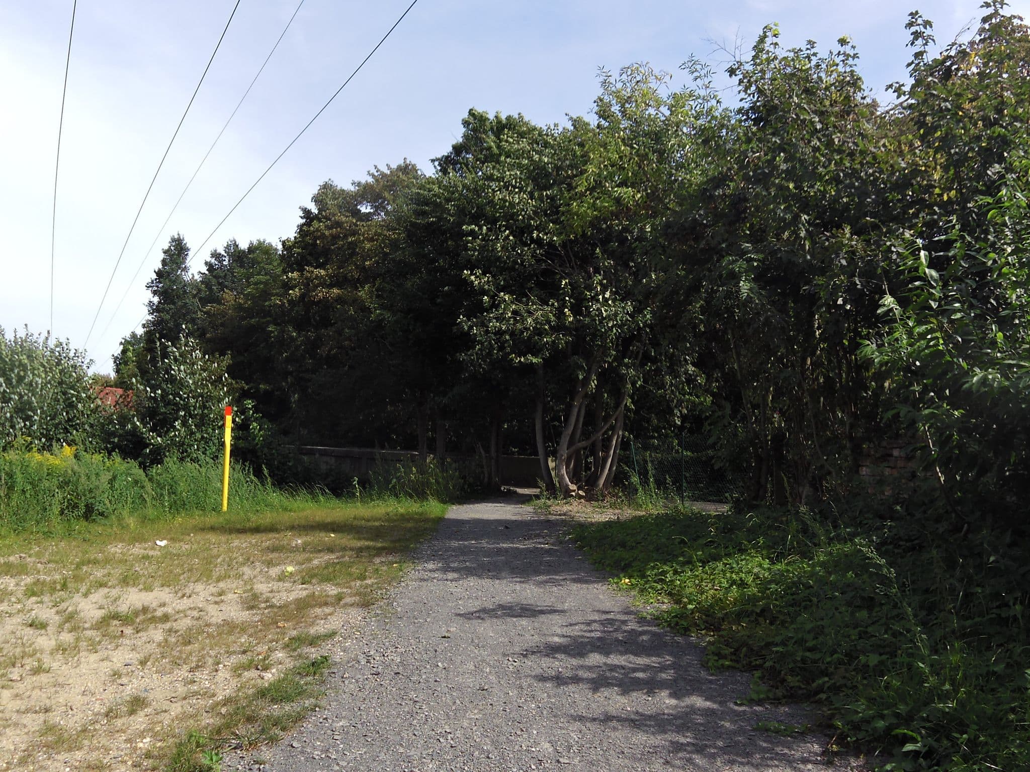 Street view near Gefühlsgarten – Stellplätze am Auenwald, Schkeuditz — © zoegglmeyr (CC BY-SA · Mapillary)