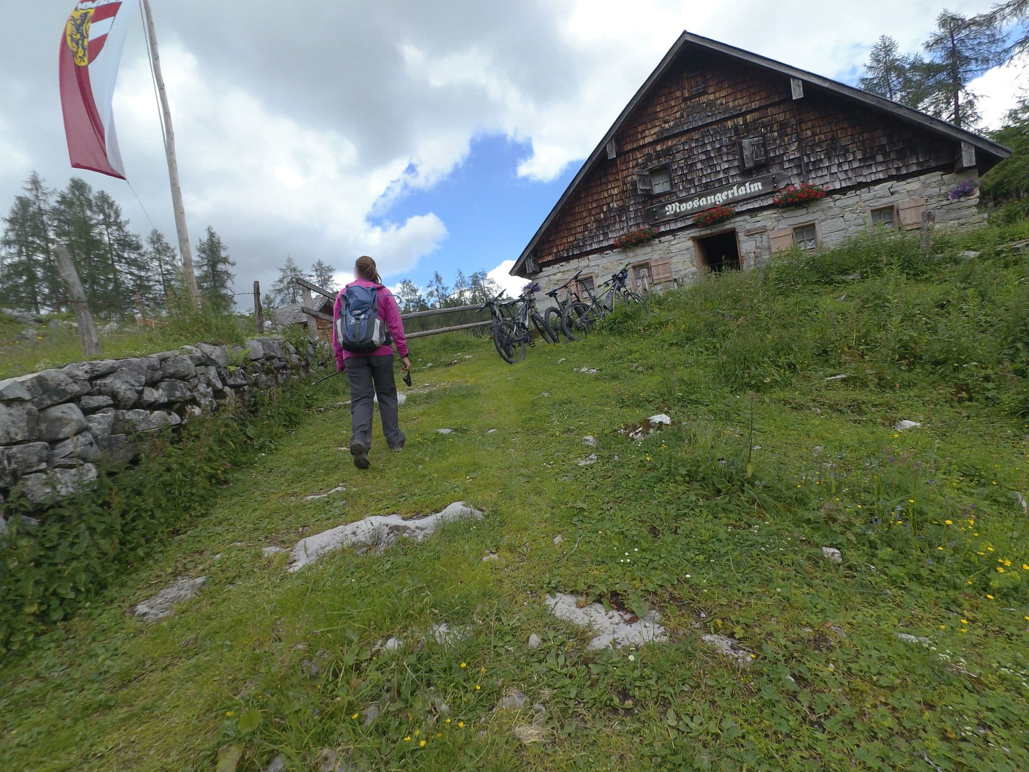 Street view near Moosangerlalm, Taugl — © schermy_at (CC BY-SA · Mapillary)