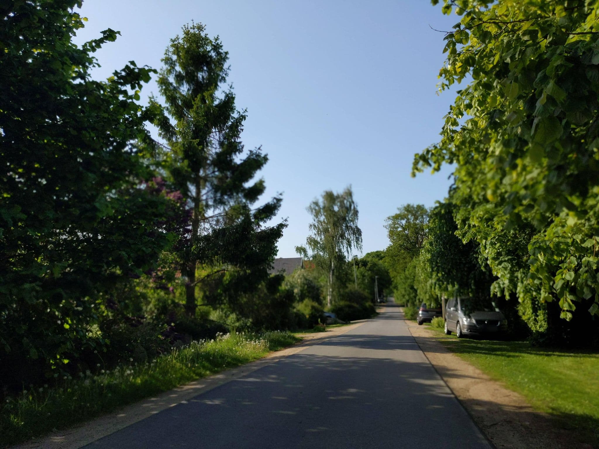 Street view near Auszeit, Dassow — © rasmustravemnd (CC BY-SA · Mapillary)