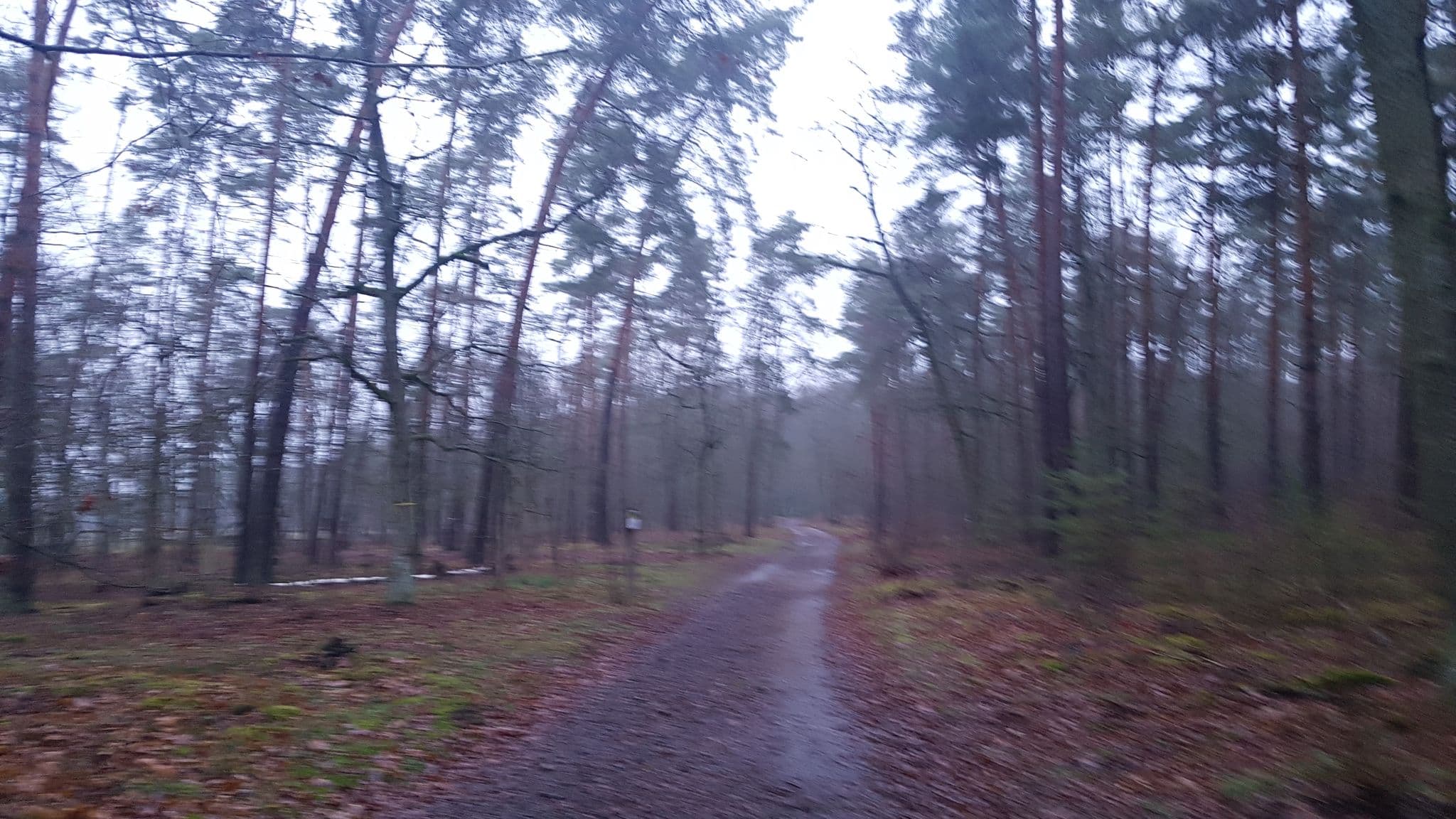 Street view near Schäfer, Stahnsdorf — © dsmm (CC BY-SA · Mapillary)