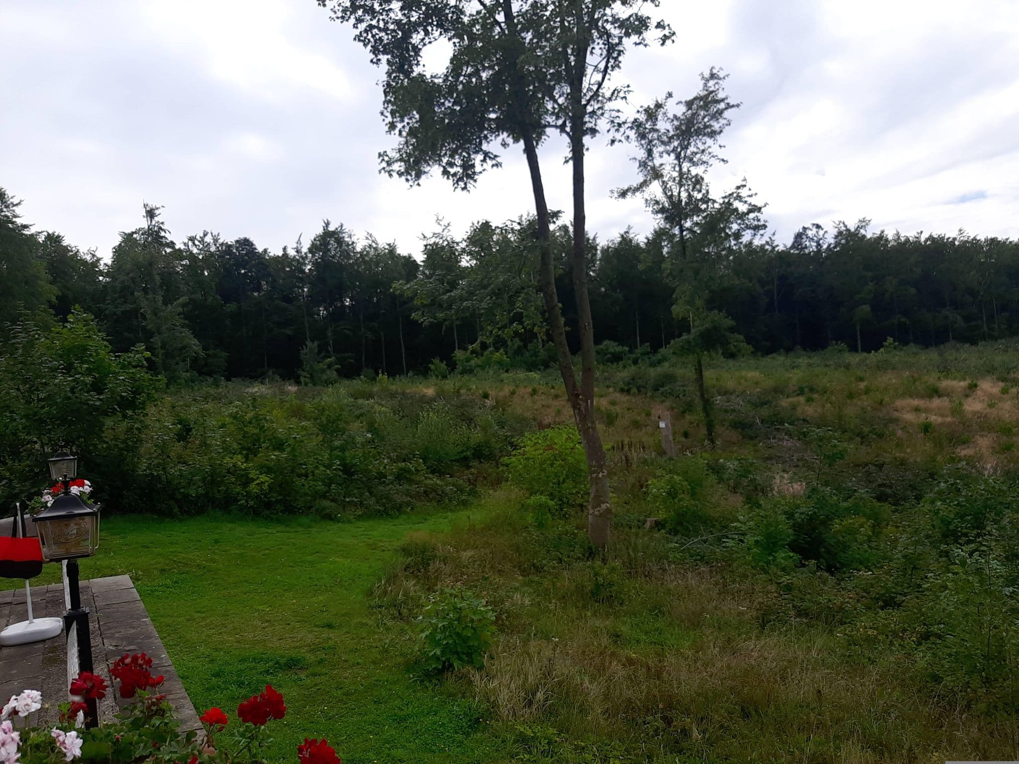 Street view near Pension Klobenbergbaude, Friedrichsbrunn — © ReisenderKaufmann (CC BY-SA · Mapillary)