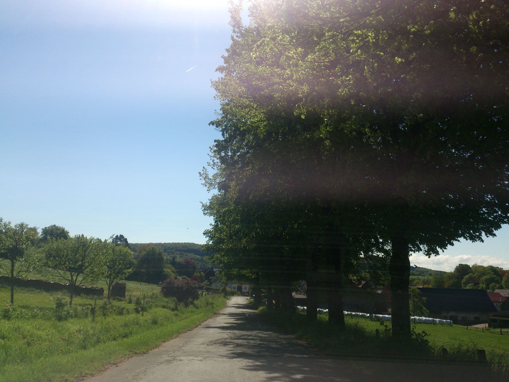 Street view near Mannis Scheune (Home of BIDS), Bad Driburg — © amenophis (CC BY-SA · Mapillary)