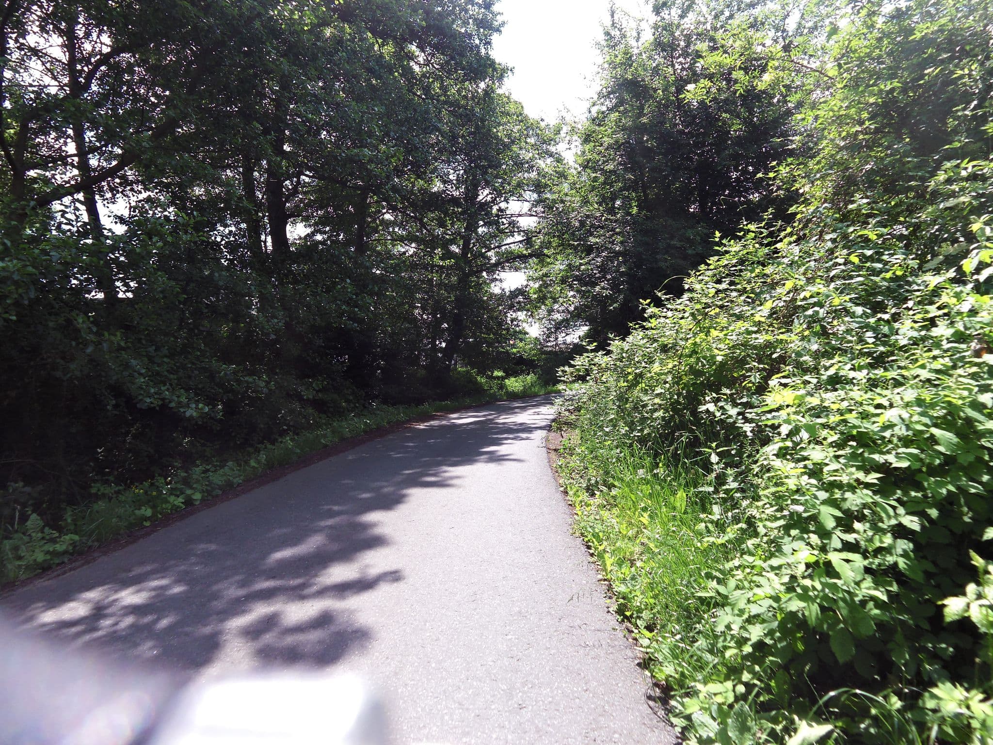 Street view near Campingplatz Nauheim, Nauheim — © chuck (CC BY-SA · Mapillary)