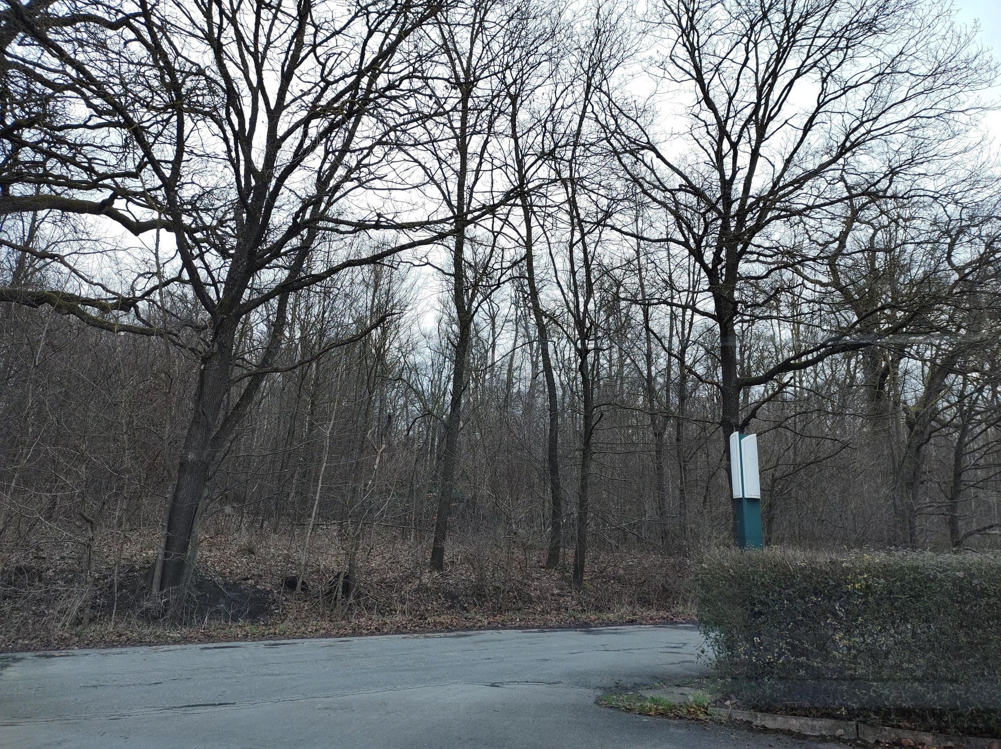 Street view near Waldhotel Entenkrug, Bad Meinberg — © thetornado76 (CC BY-SA · Mapillary)
