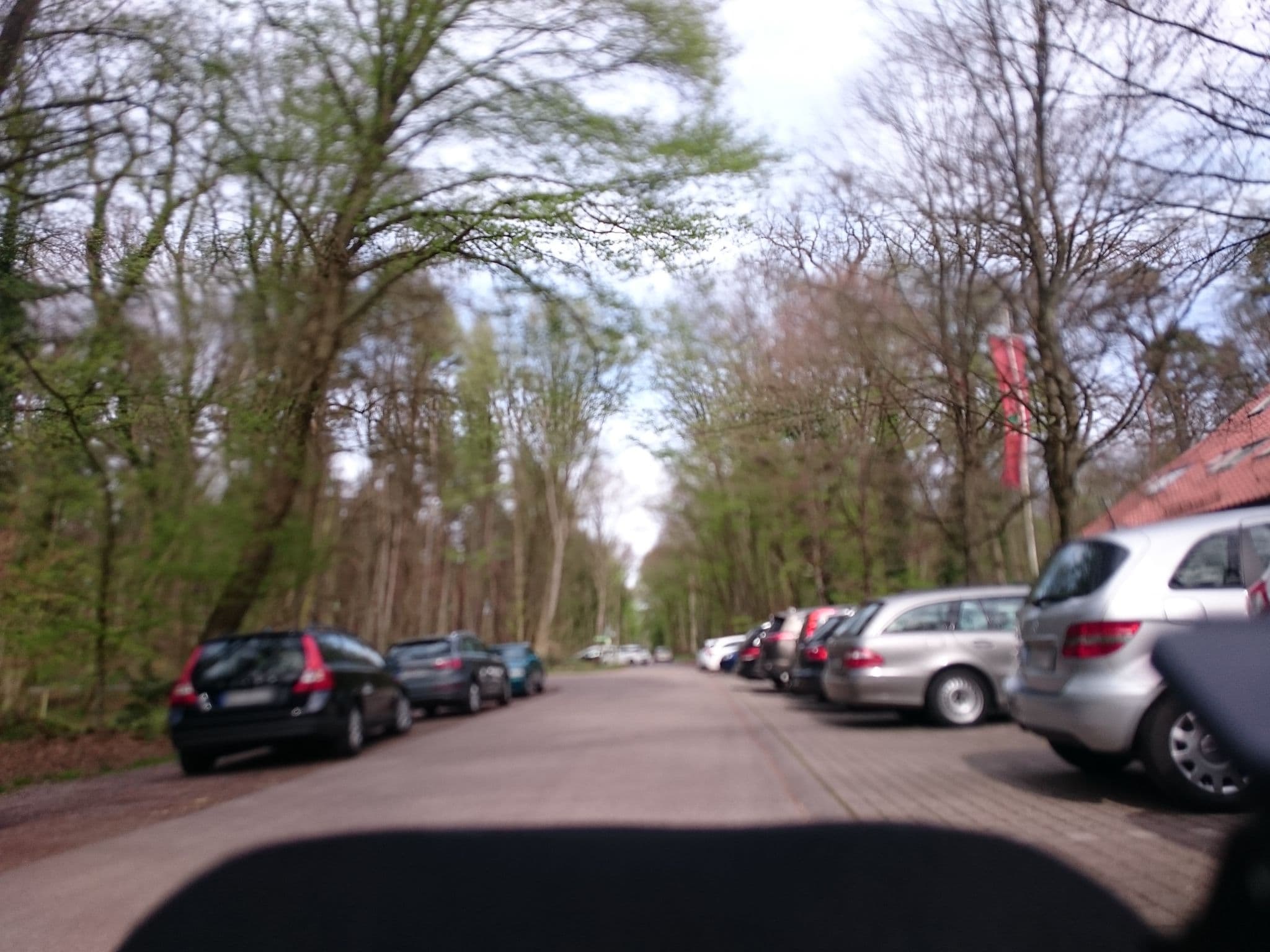 Street view near Naturfreundehaus Bienwald, Minfeld — © anmaca (CC BY-SA · Mapillary)