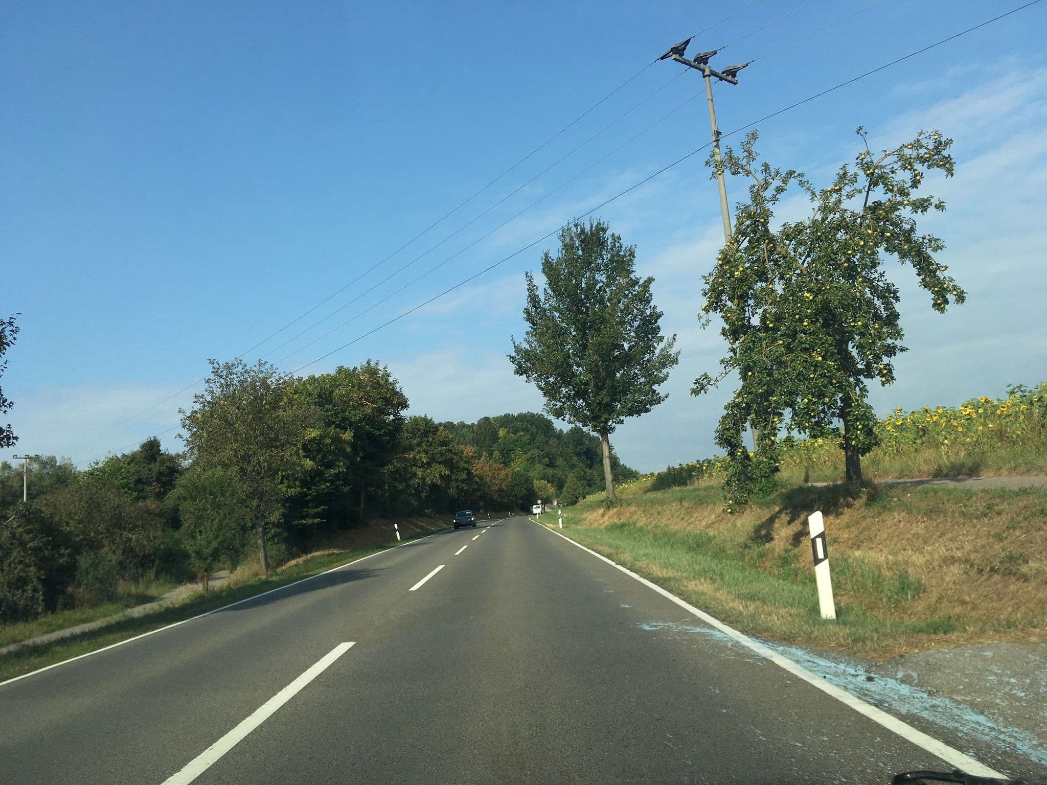 Street view near CVJM Haus Seebrücke, Holzgerlingen — © qwave (CC BY-SA · Mapillary)