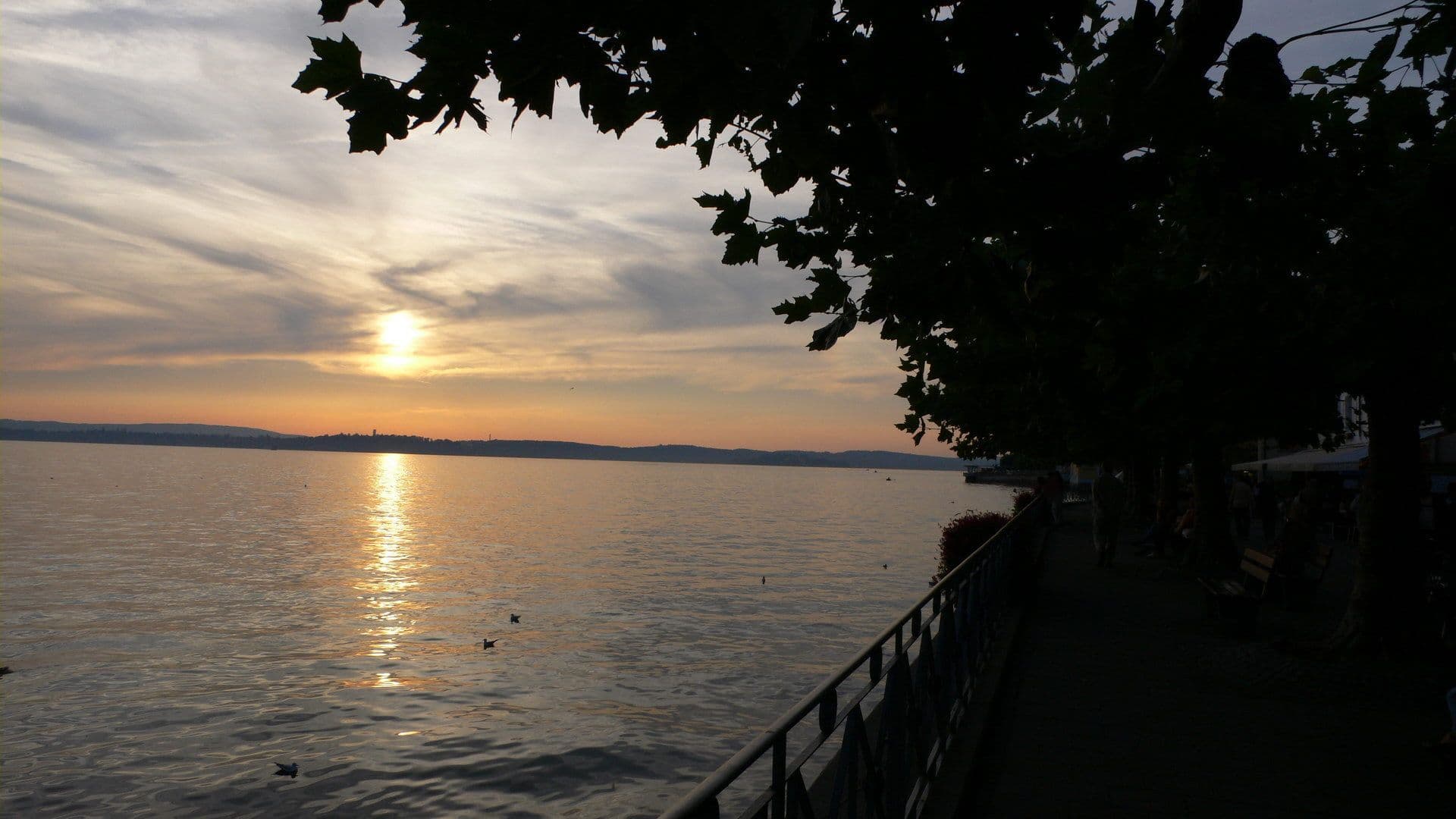 Street view near Seehotel zur Münz, Meersburg — © voltadino (CC BY-SA · Mapillary)