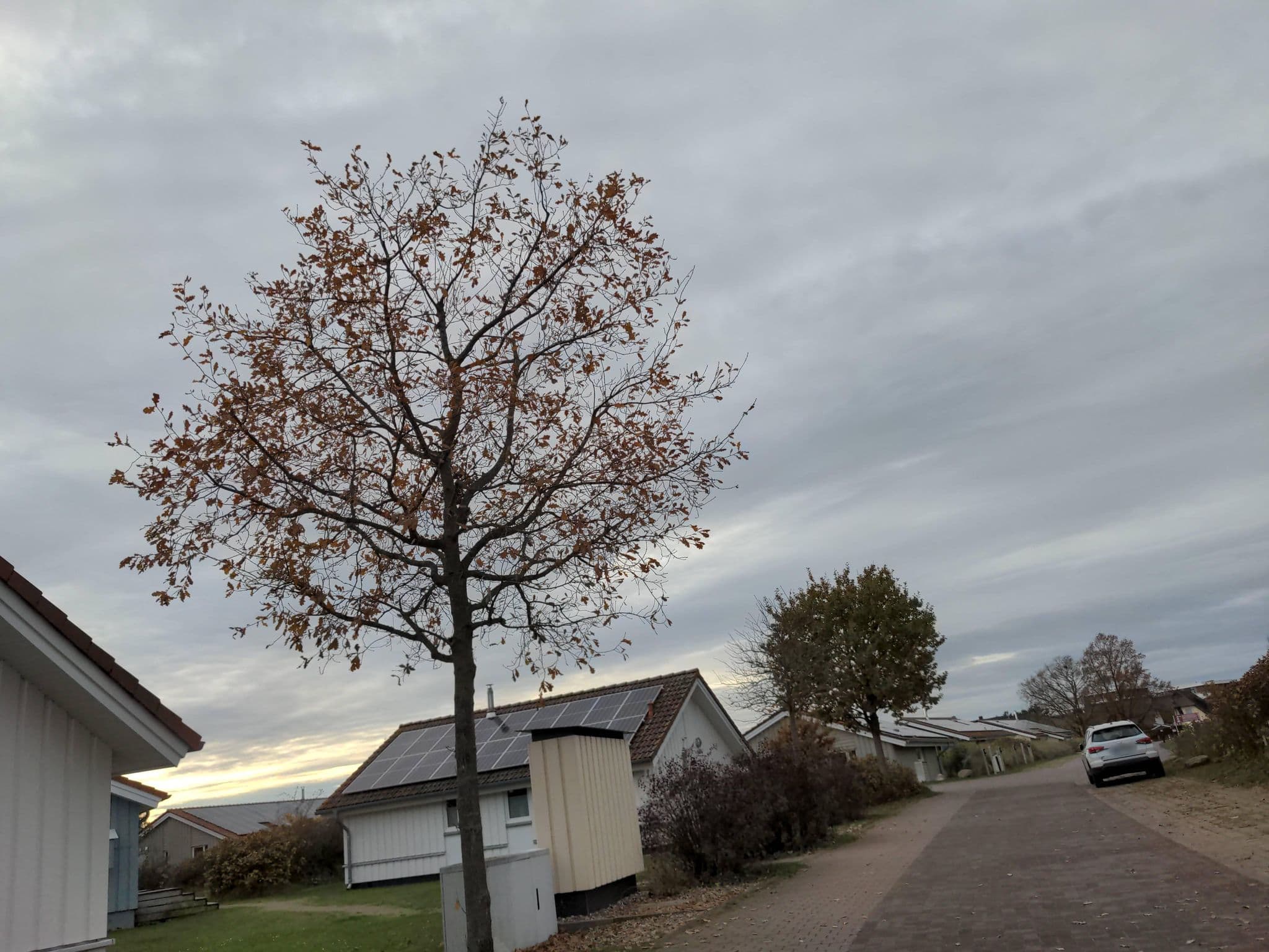 Street view near Albatross, Neustadt in Holstein