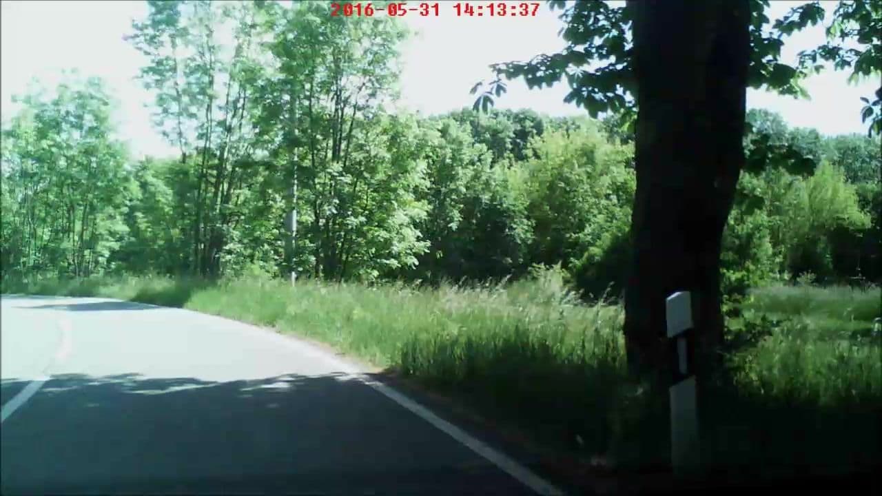 Street view near Jugendwaldheim Rathsfeld, Bad Frankenhausen — © sennewald63 (CC BY-SA · Mapillary)