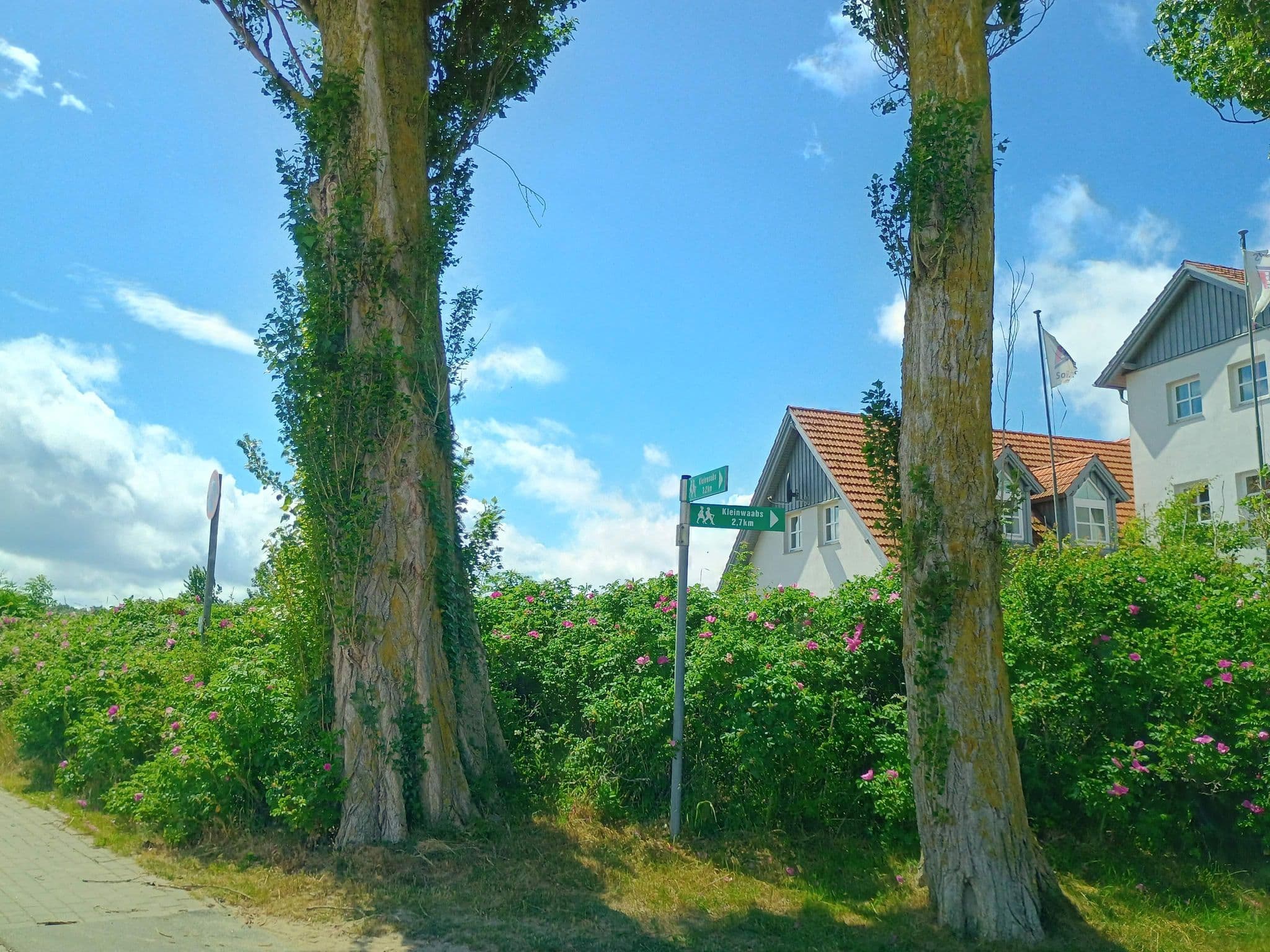 Street view near ADS Schullandheim Uwe-Jens-Lornsen, Waabs — © thetornado76 (CC BY-SA · Mapillary)