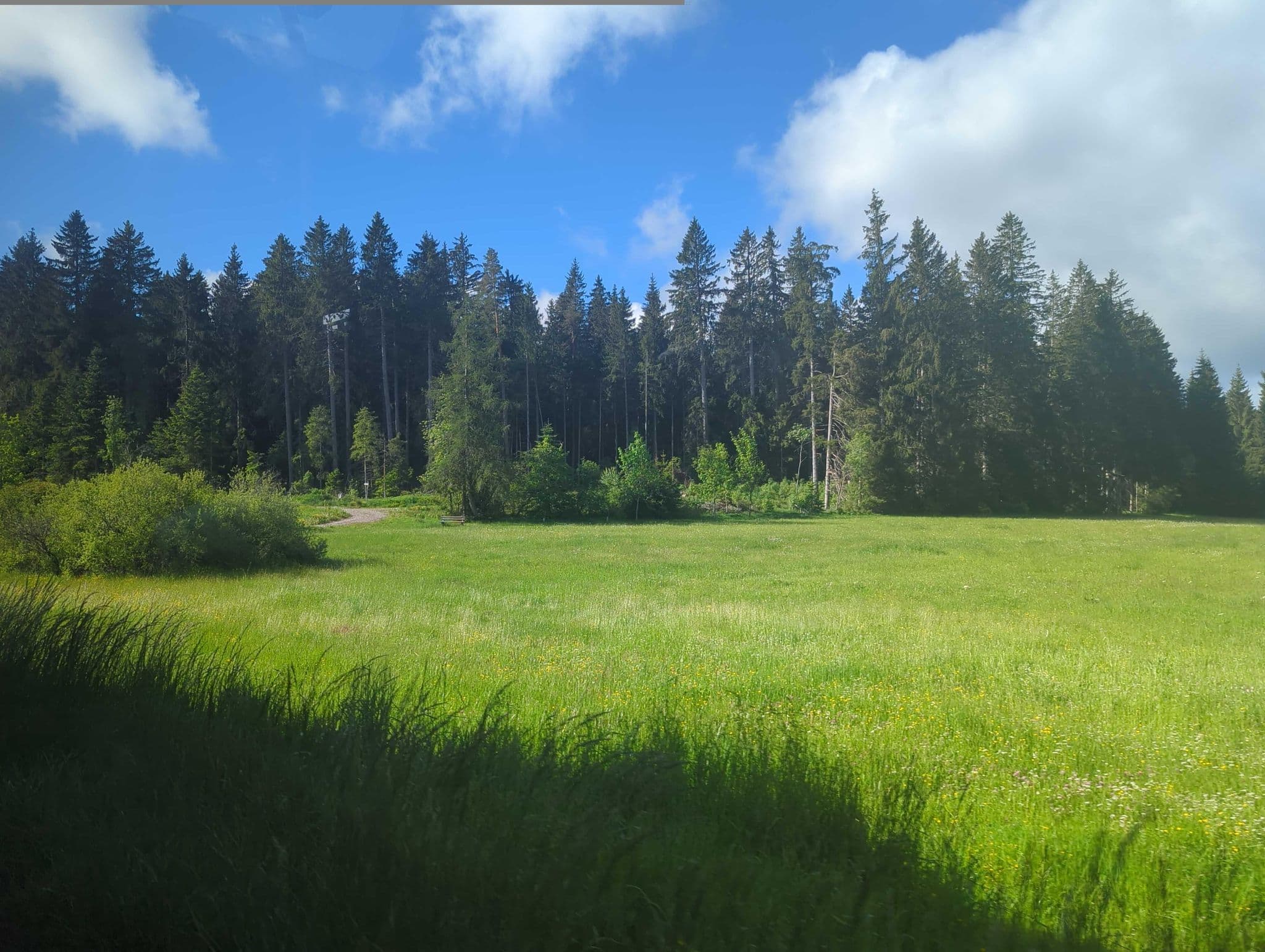 Street view near Friedrichshöhe, Vöhrenbach — © theSharon (CC BY-SA · Mapillary)