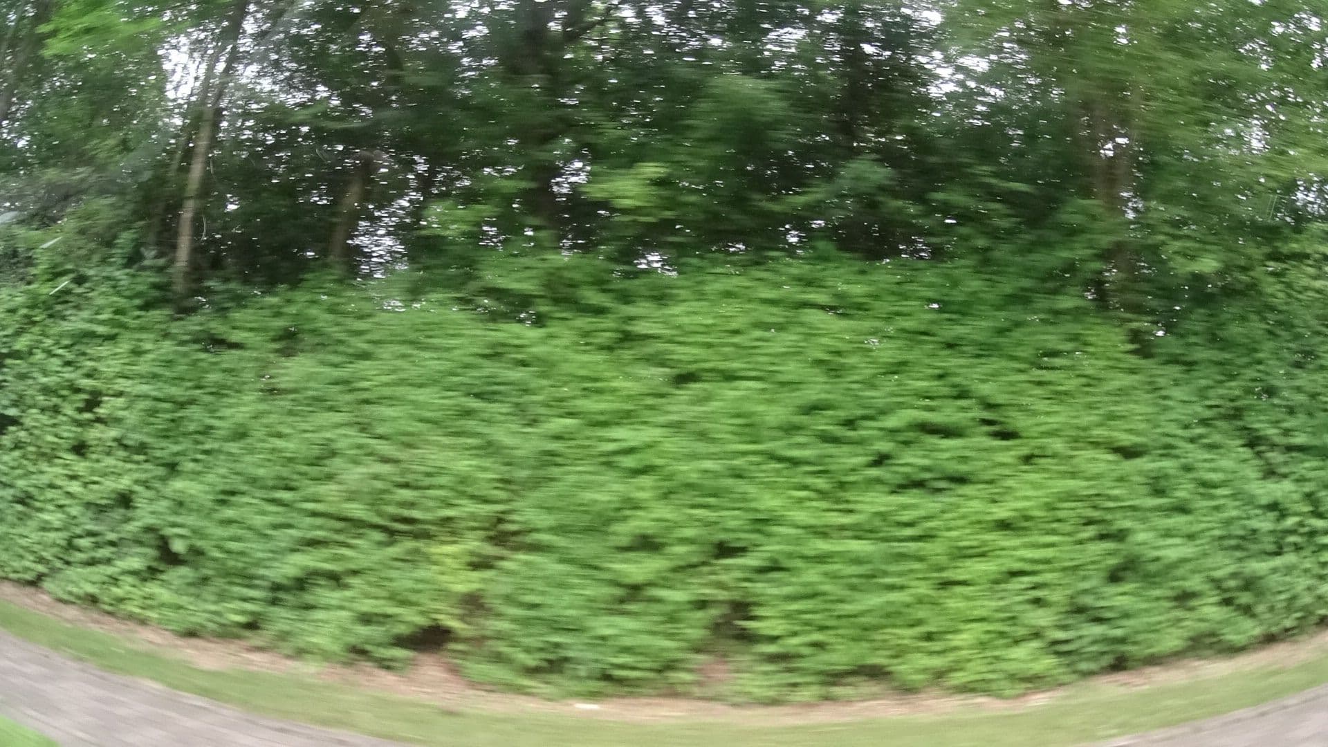 Street view near Wohnmobilhafen Bellersen, Brakel — © ramap (CC BY-SA · Mapillary)