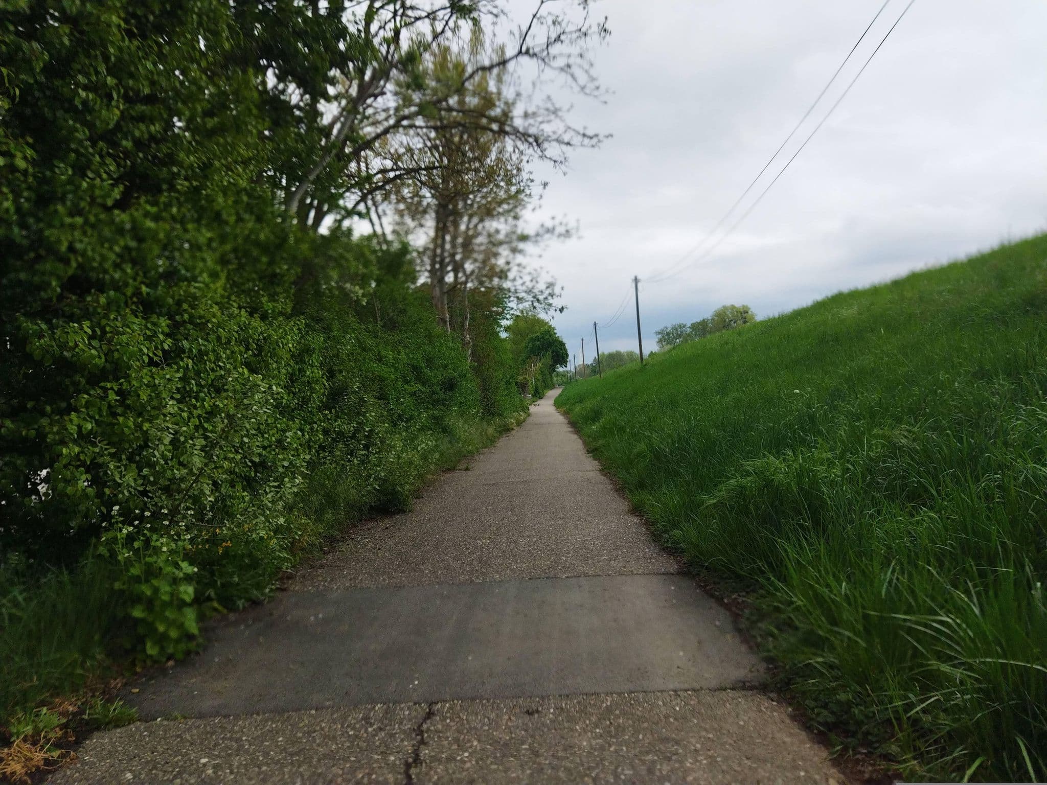 Street view near Daurercamping Freunde am Kiefschen Weiher, Altrip — © changchun1 (CC BY-SA · Mapillary)