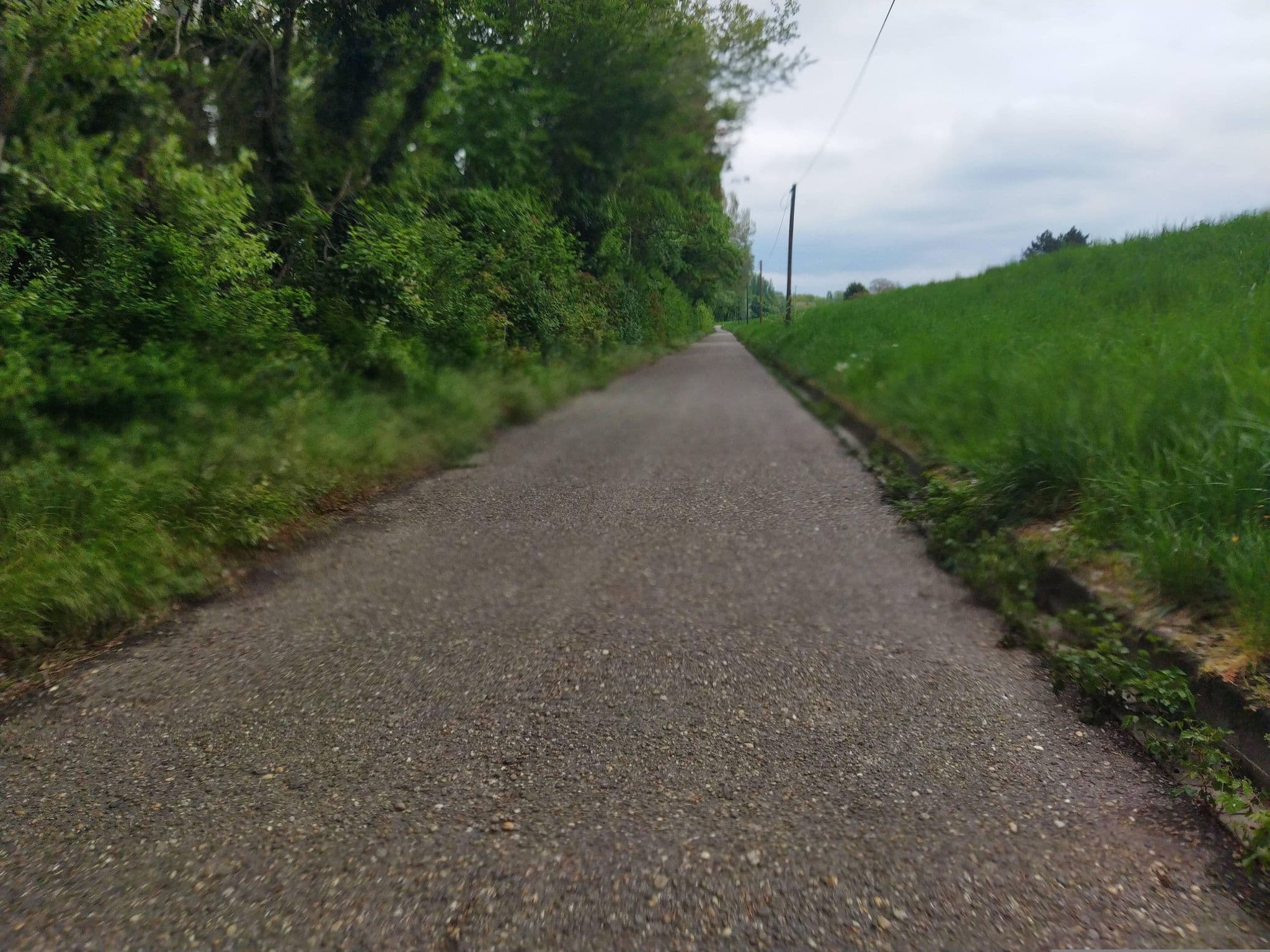 Street view near Dauercamping Ludwigshafener Naherholungsverein Kiefweiher, Altrip — © changchun1 (CC BY-SA · Mapillary)