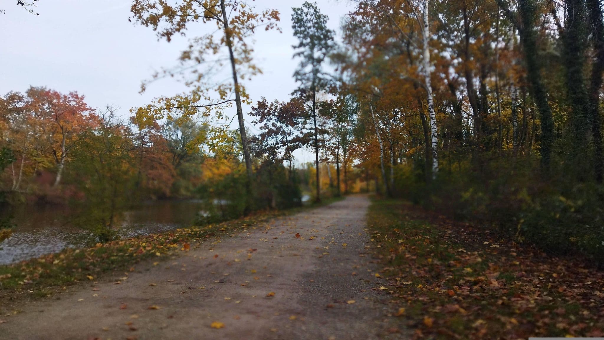 Street view near Naturfreunde Dachau Georg-Andorfer-Haus, Dachau — © changchun1 (CC BY-SA · Mapillary)