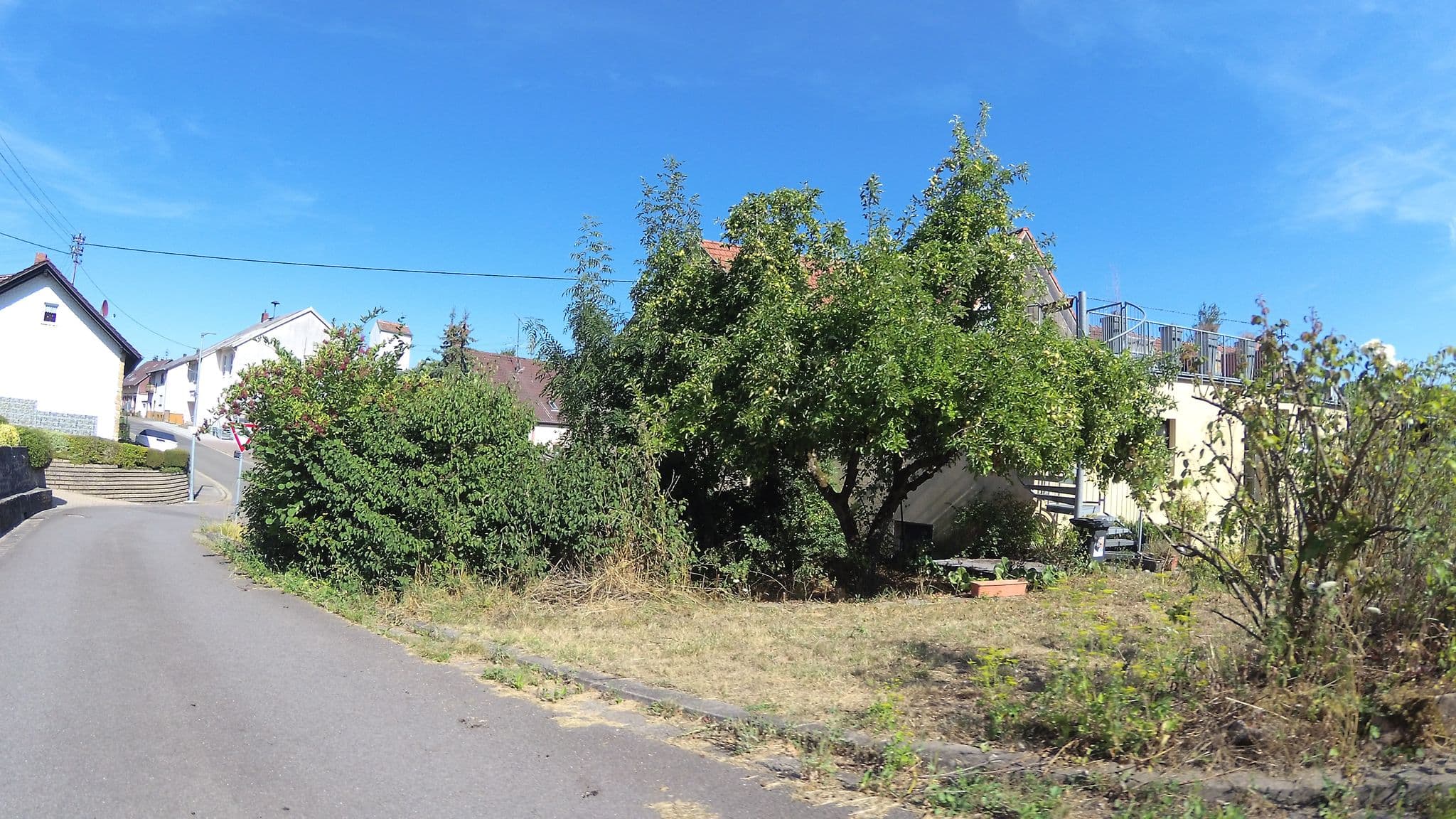 Street view near Walsheimer Hof, Gersheim — © teddy73 (CC BY-SA · Mapillary)