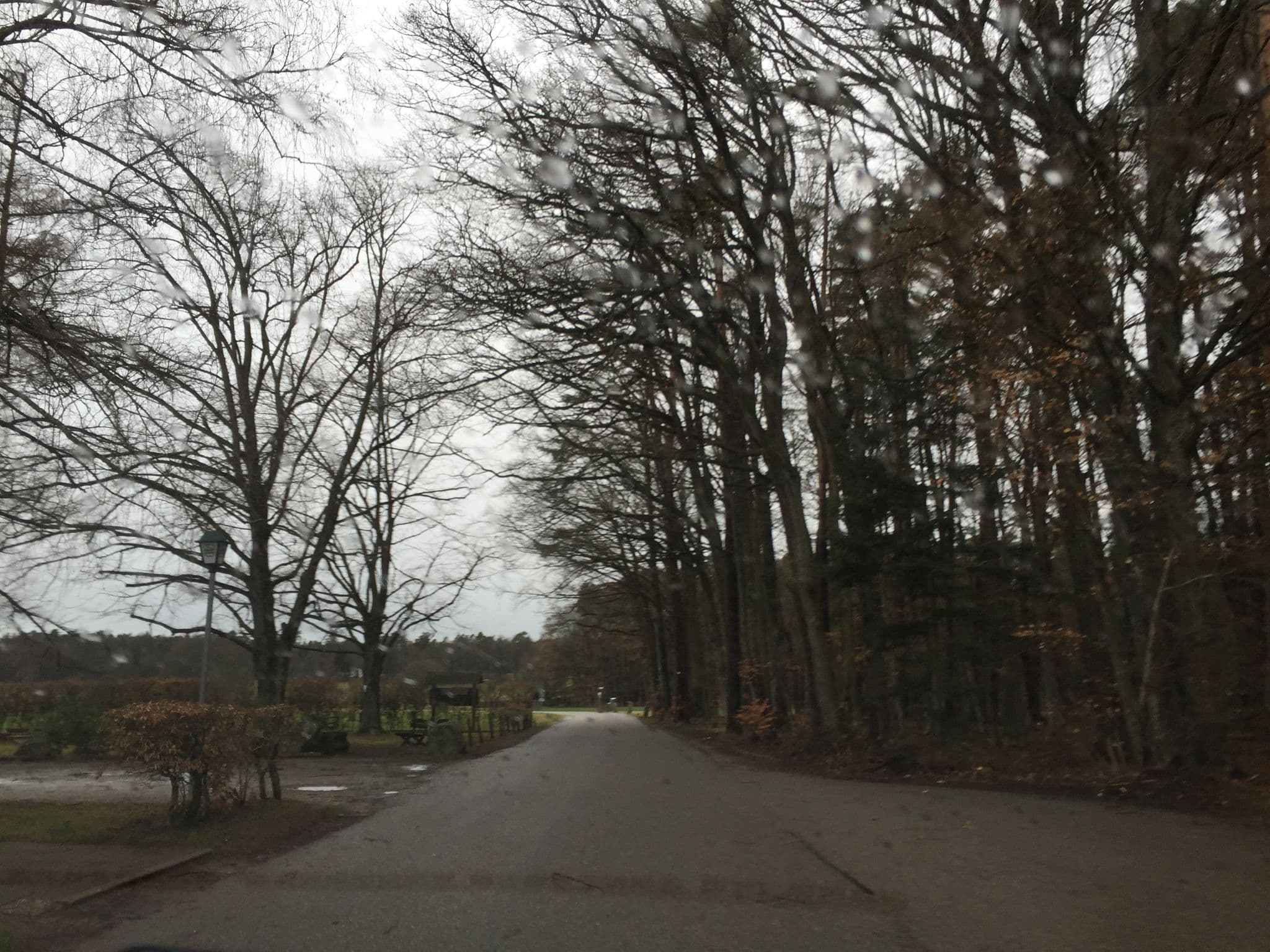 Street view near Wanderheim Zavelstein, Bad Teinach-Zavelstein — © zee (CC BY-SA · Mapillary)