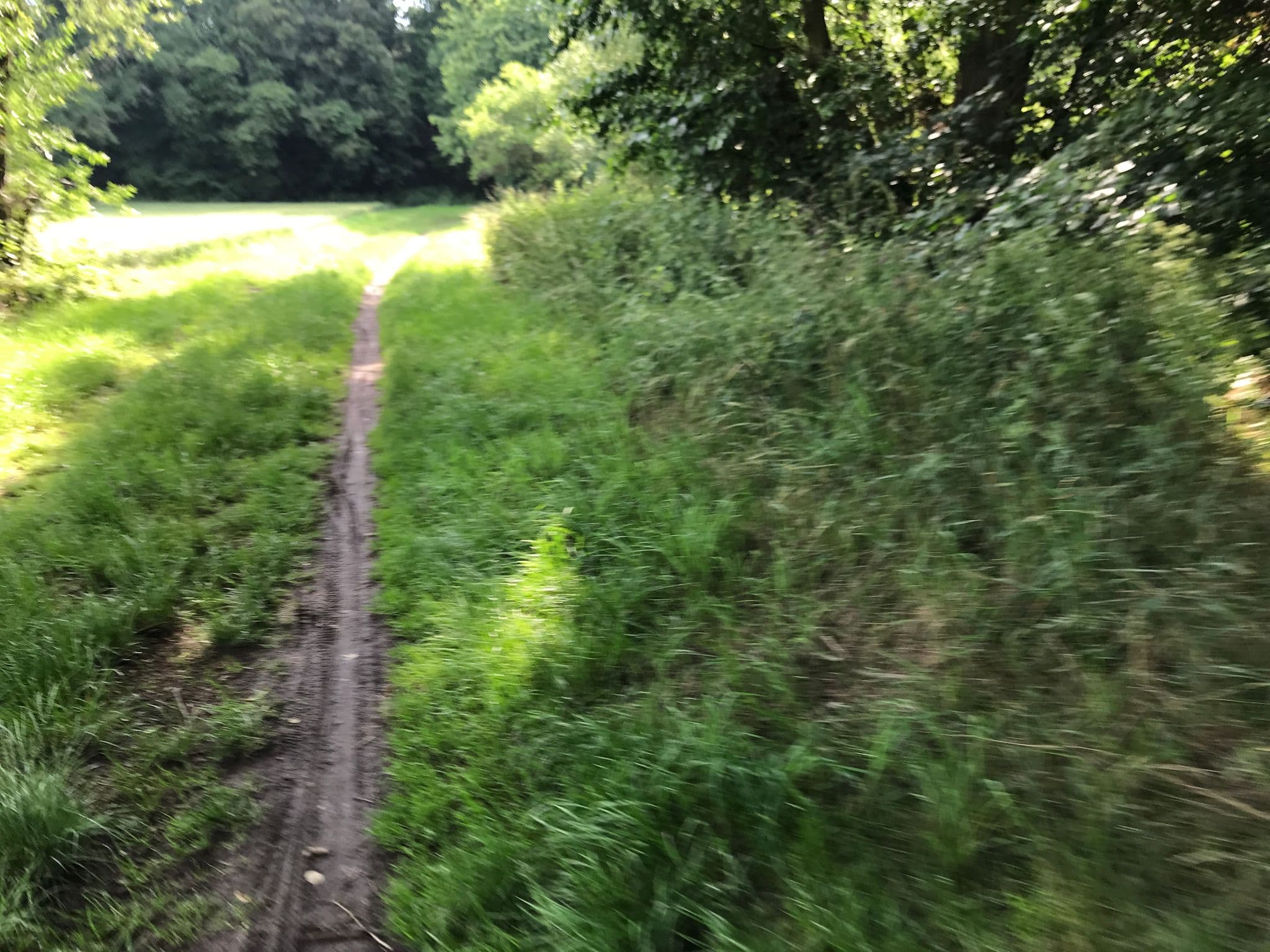 Street view near Steinesmühle, Laubach — © troher15 (CC BY-SA · Mapillary)