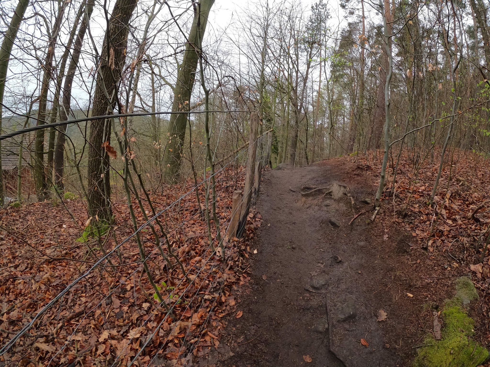 Street view near Palmschänke, Königstein — © Langfahrer (CC BY-SA · Mapillary)