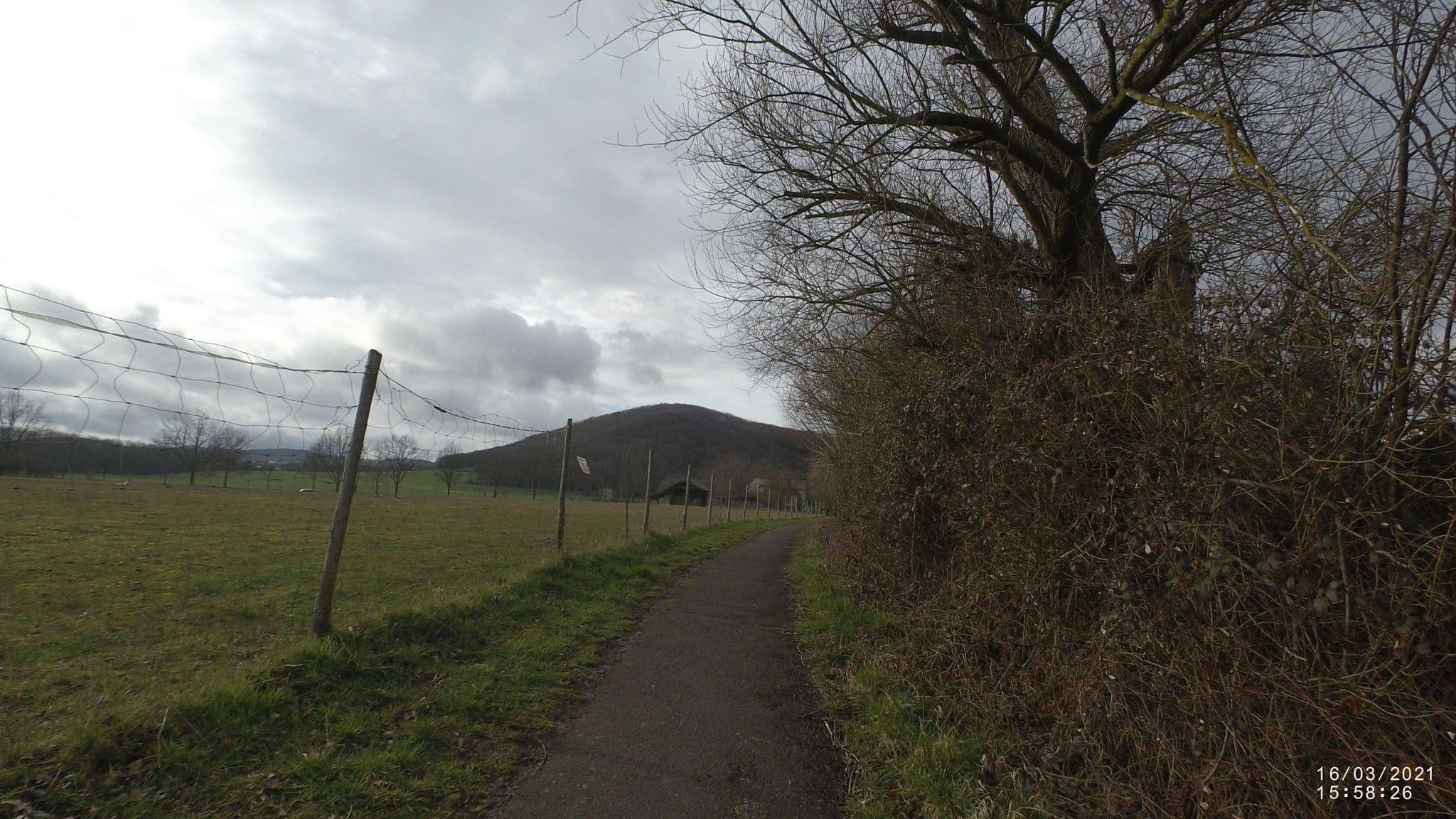 Street view near Siesta Campingplatz, Mendig — © VIA_CH (CC BY-SA · Mapillary)