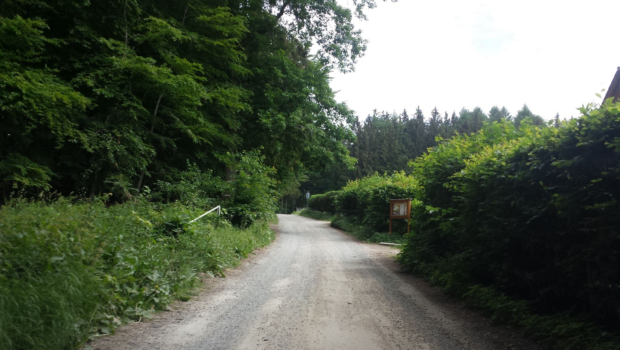 Street view near Naturfreundehaus Trommhaus, Rimbach — © wegavision (CC BY-SA · Mapillary)