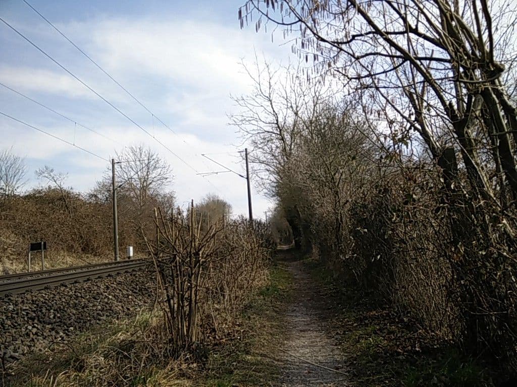 Street view near Naturfreunde Bodensee, Radolfzell — © eliasp (CC BY-SA · Mapillary)