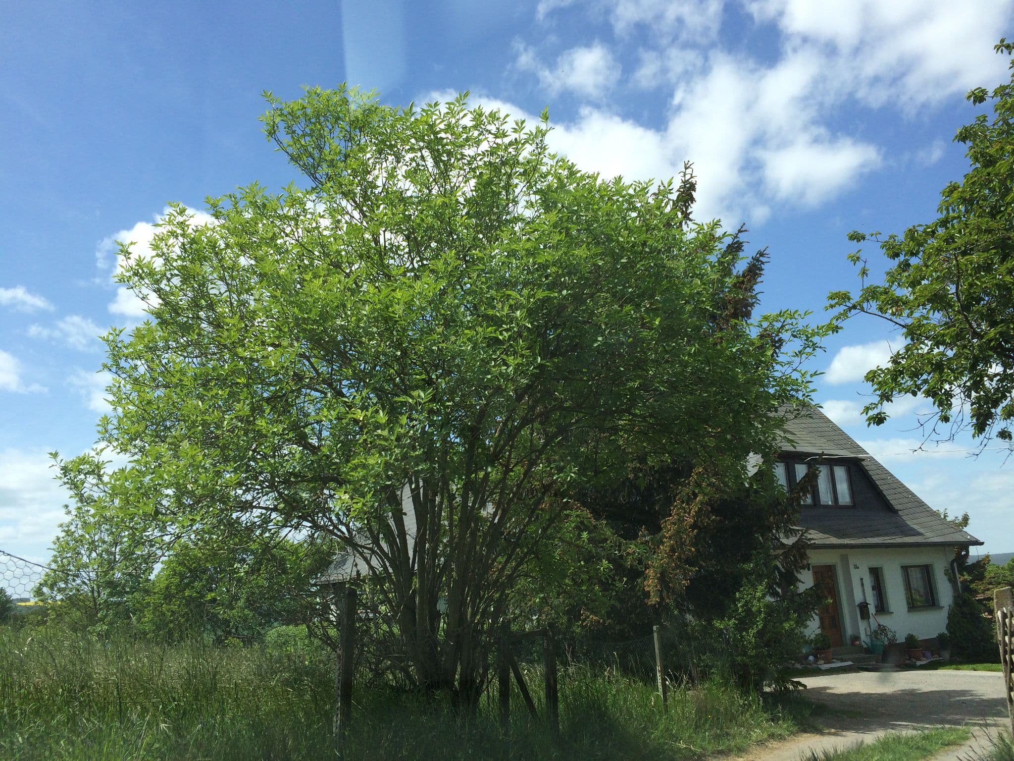Street view near Pension Stejskal, Ranis — © bbo (CC BY-SA · Mapillary)