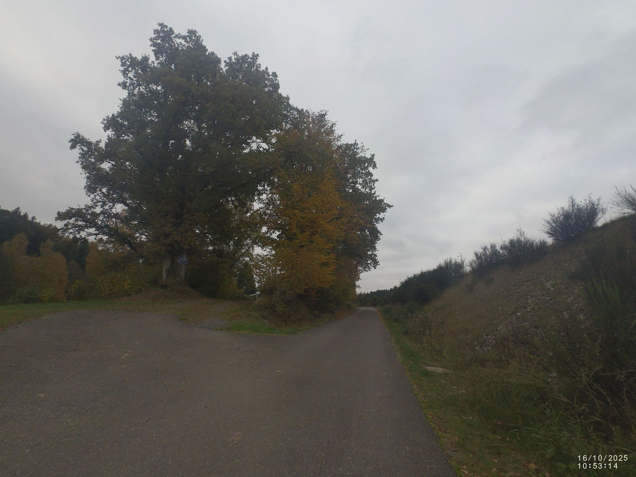 Street view near Sensweiler Mühle, Kirschweiler — © VIA_CH (CC BY-SA · Mapillary)