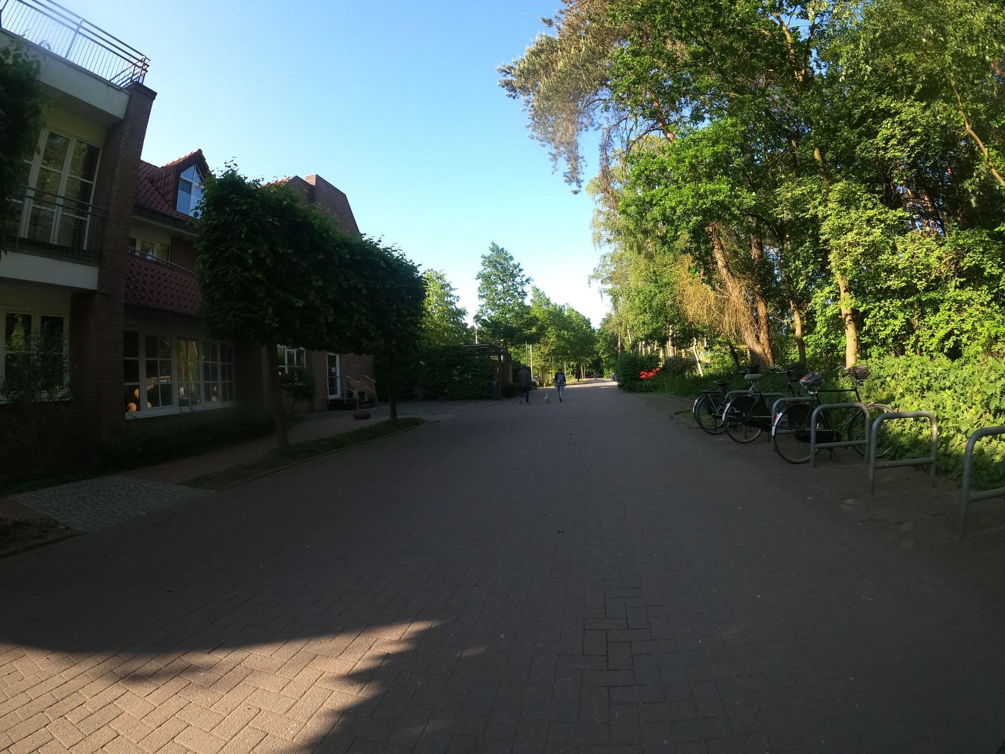 Street view near Hotel Heidegrund, Molbergen — © VIA_KK (CC BY-SA · Mapillary)