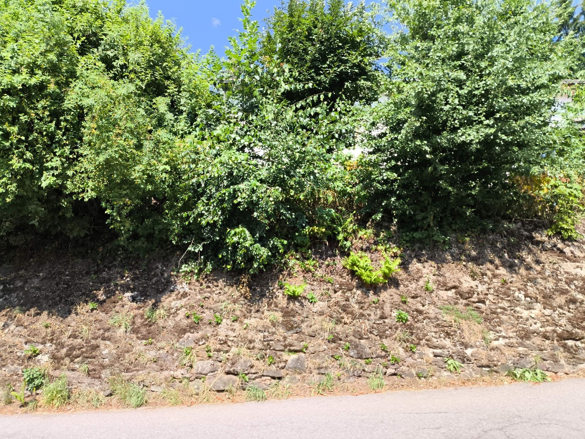 Street view near Zum Hanslwirt, Lohberg — © ygramul (CC BY-SA · Mapillary)