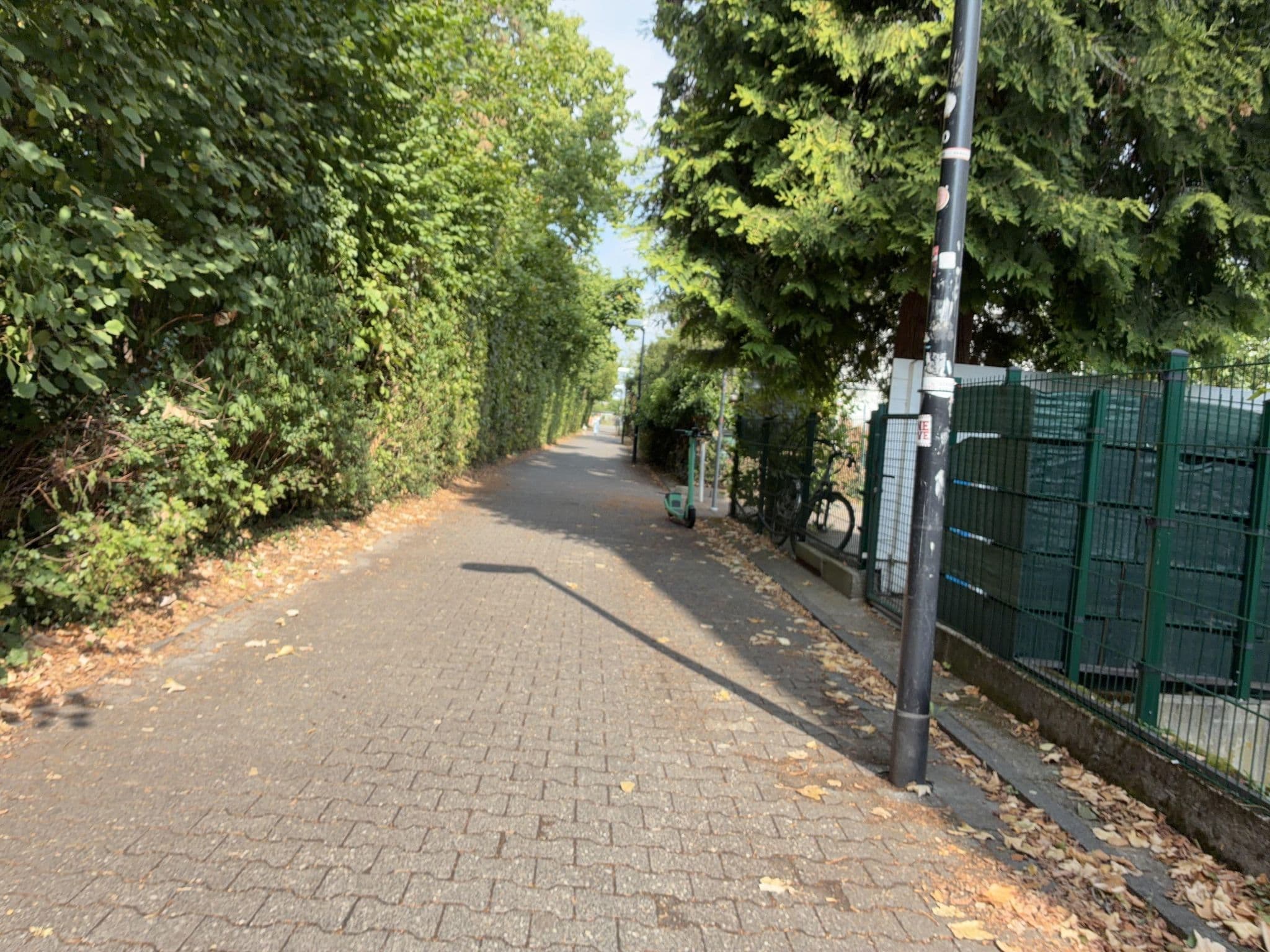 Street view near Hotel Römerstein, Mainz — © miguel_andrade (CC BY-SA · Mapillary)