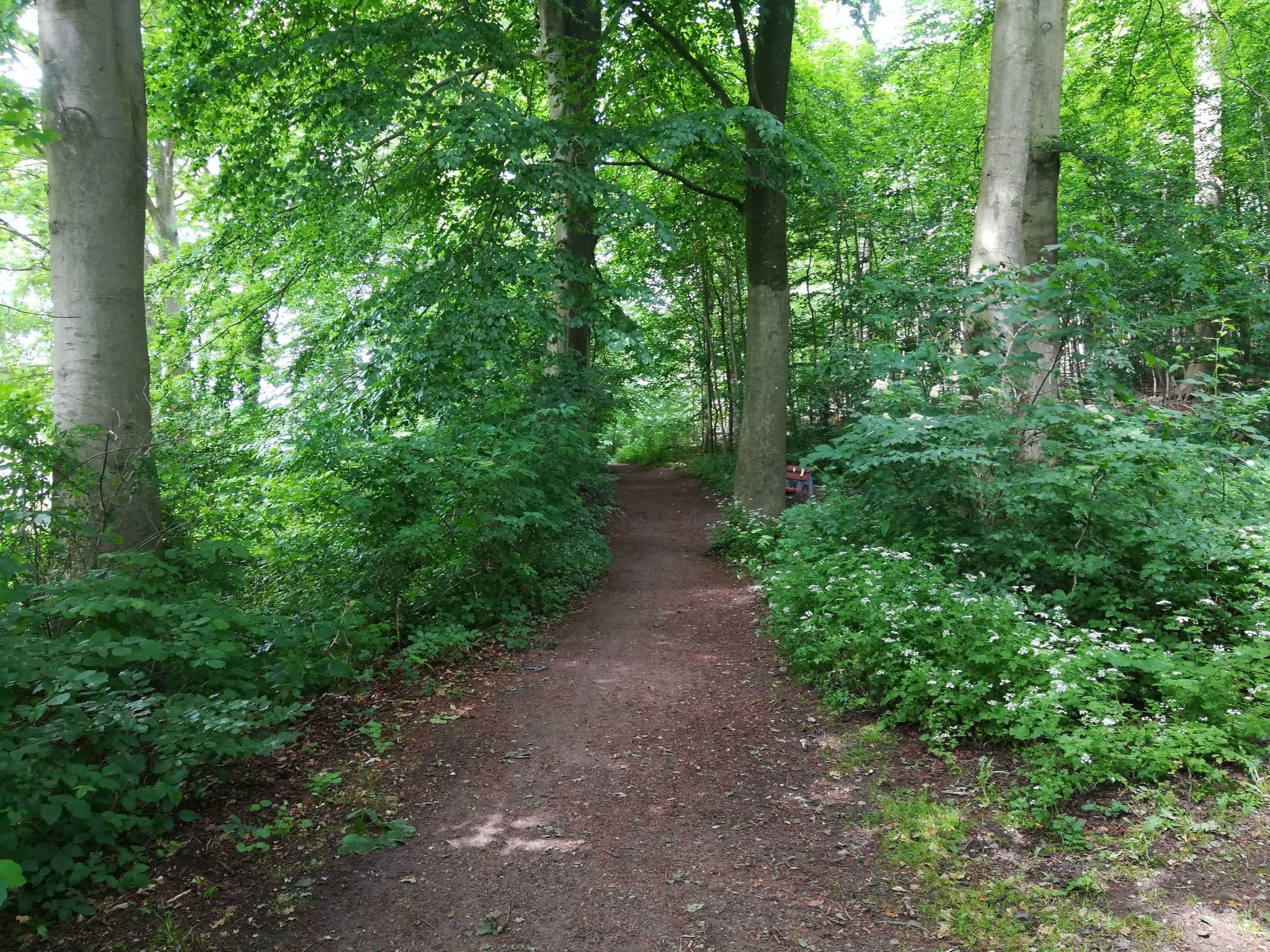 Street view near See-Camping Segeberg, Bad Segeberg — © tottoge (CC BY-SA · Mapillary)
