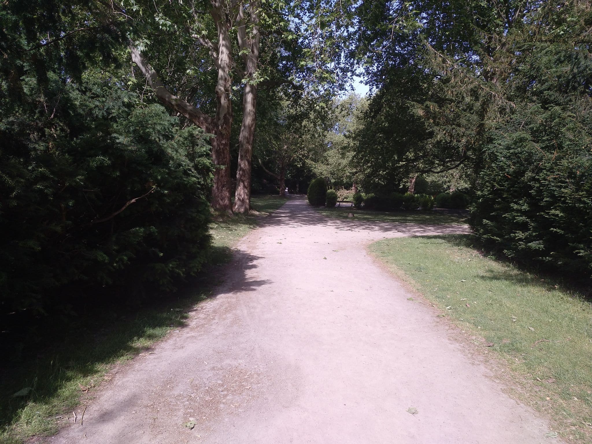 Street view near Hotel Haus Hohenstein Gästehaus, Witten — © redflag238 (CC BY-SA · Mapillary)