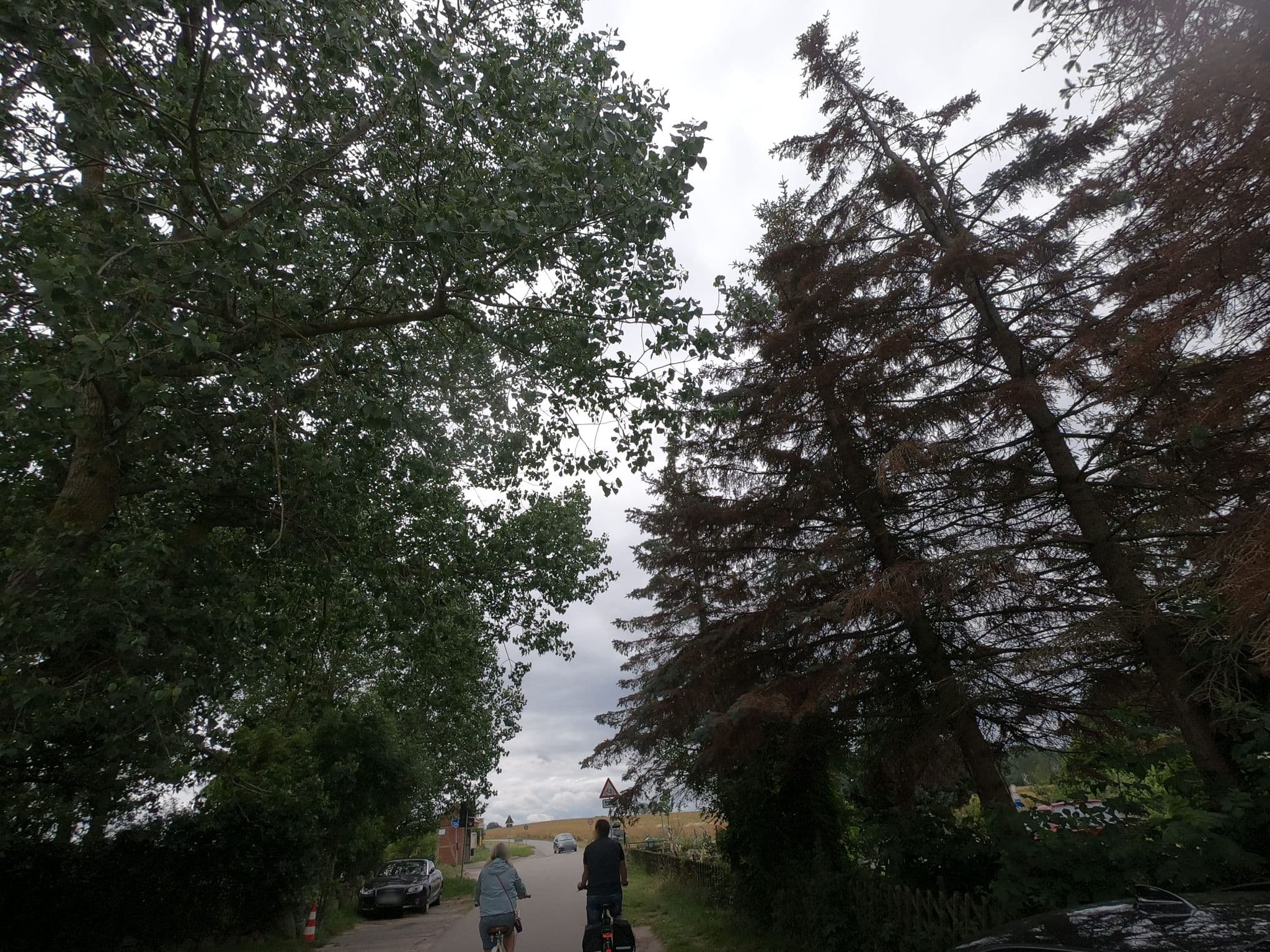 Street view near Haus am Meer, Bastorf — © carlheinz (CC BY-SA · Mapillary)