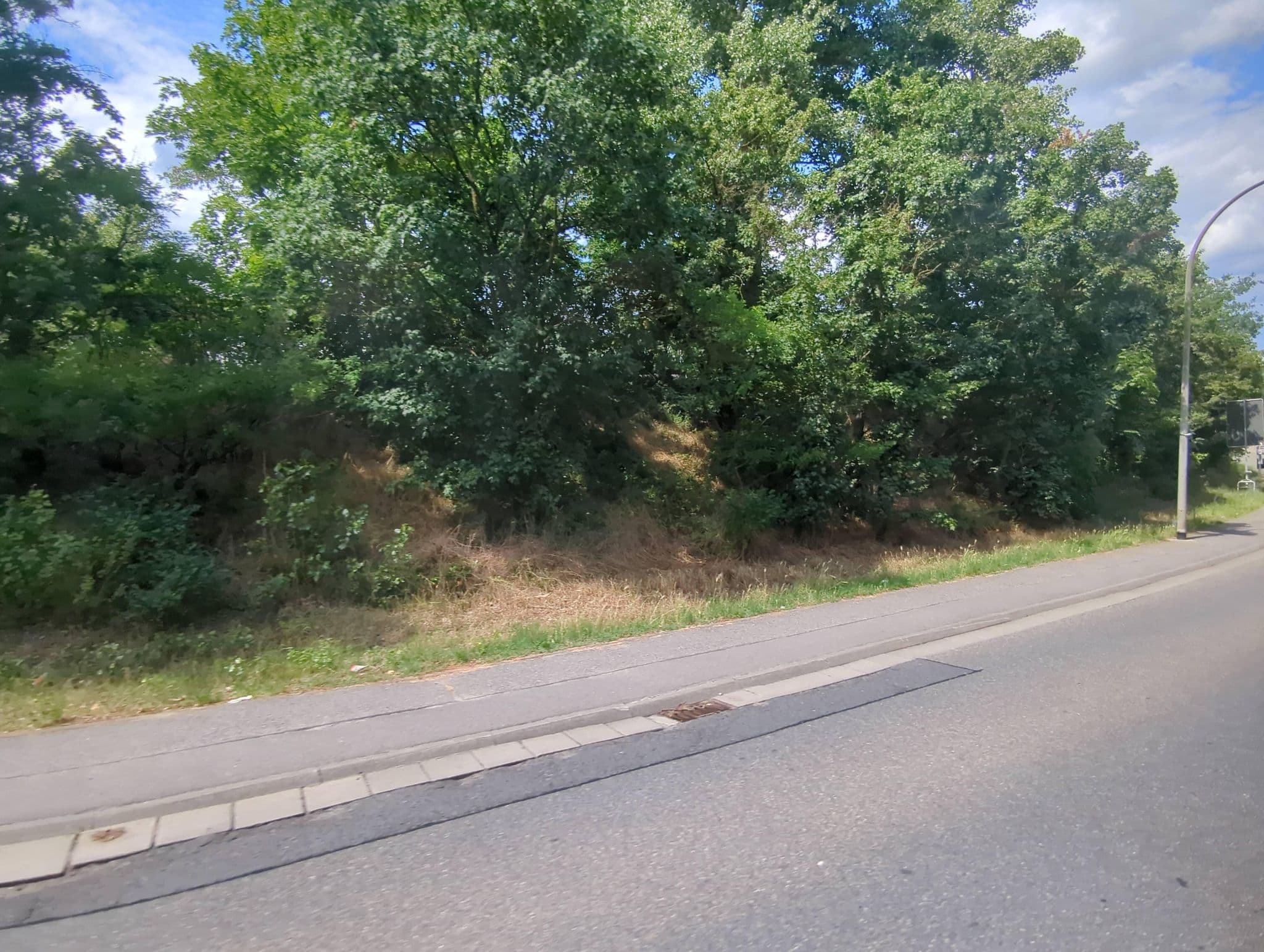 Street view near Hotel Clement, Wackernheim — © miguel_andrade (CC BY-SA · Mapillary)