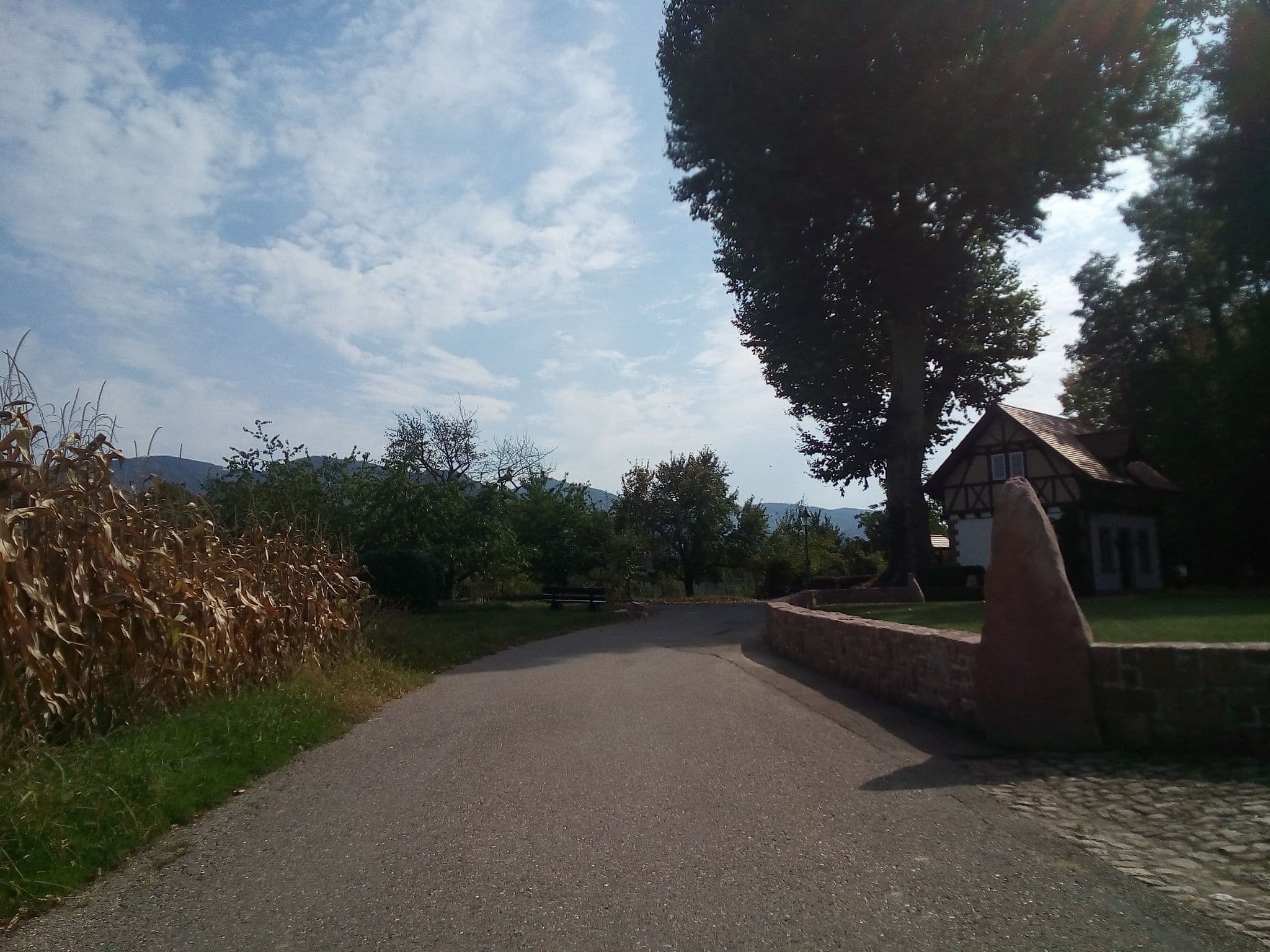 Street view near Lindenhaus, Sasbach — © karthoo (CC BY-SA · Mapillary)