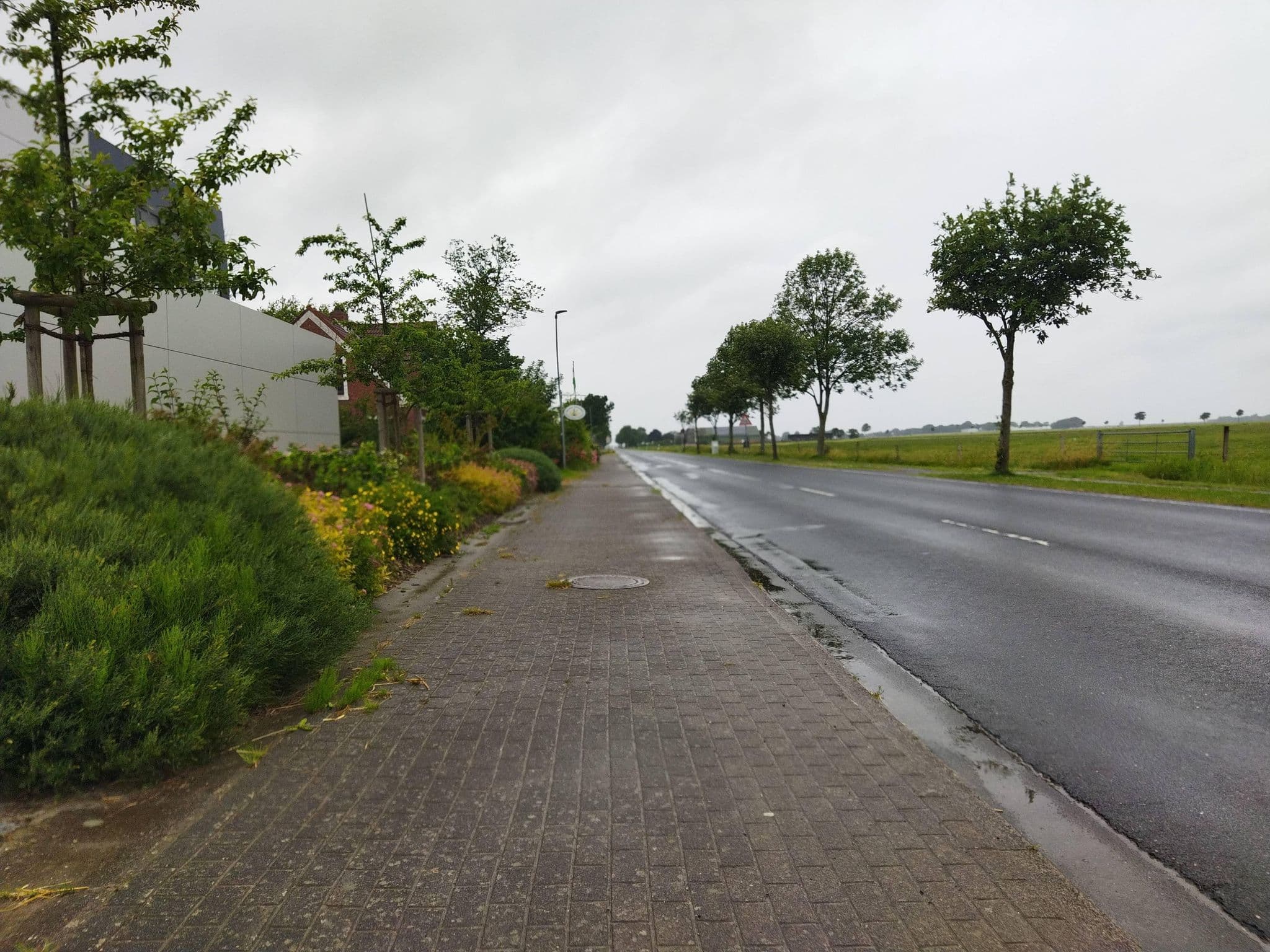 Street view near Dein Ankerplatz, Friedrichskoog — © changchun1 (CC BY-SA · Mapillary)