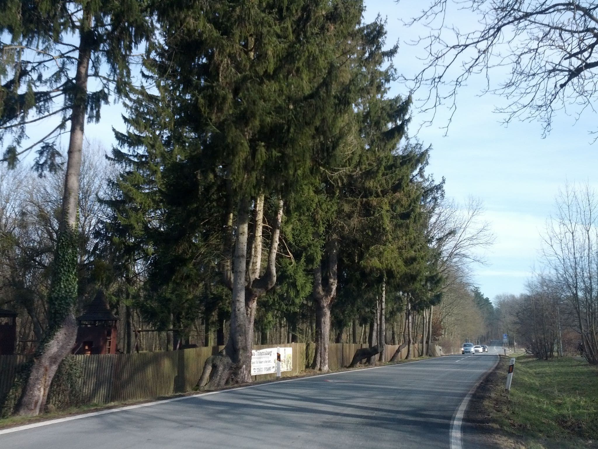 Street view near Hotel am Baumkronenpfad, Schönstedt — © zoegglmeyr (CC BY-SA · Mapillary)
