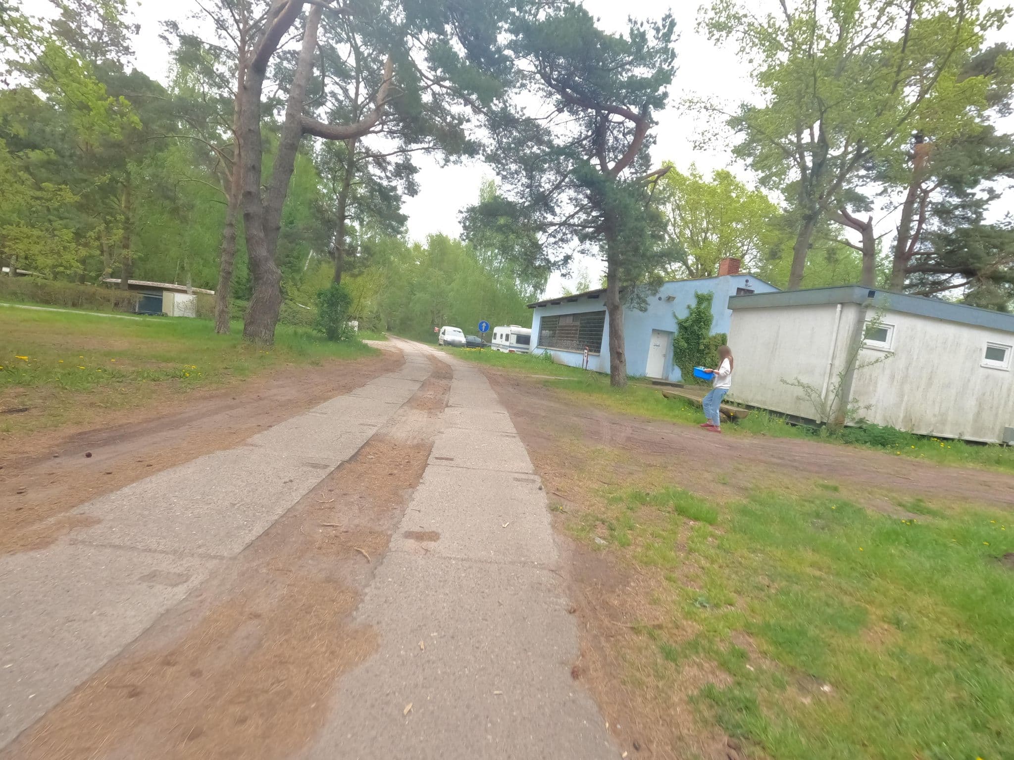 Street view near Regenbogencamp Born, Born — © hektor1989 (CC BY-SA · Mapillary)