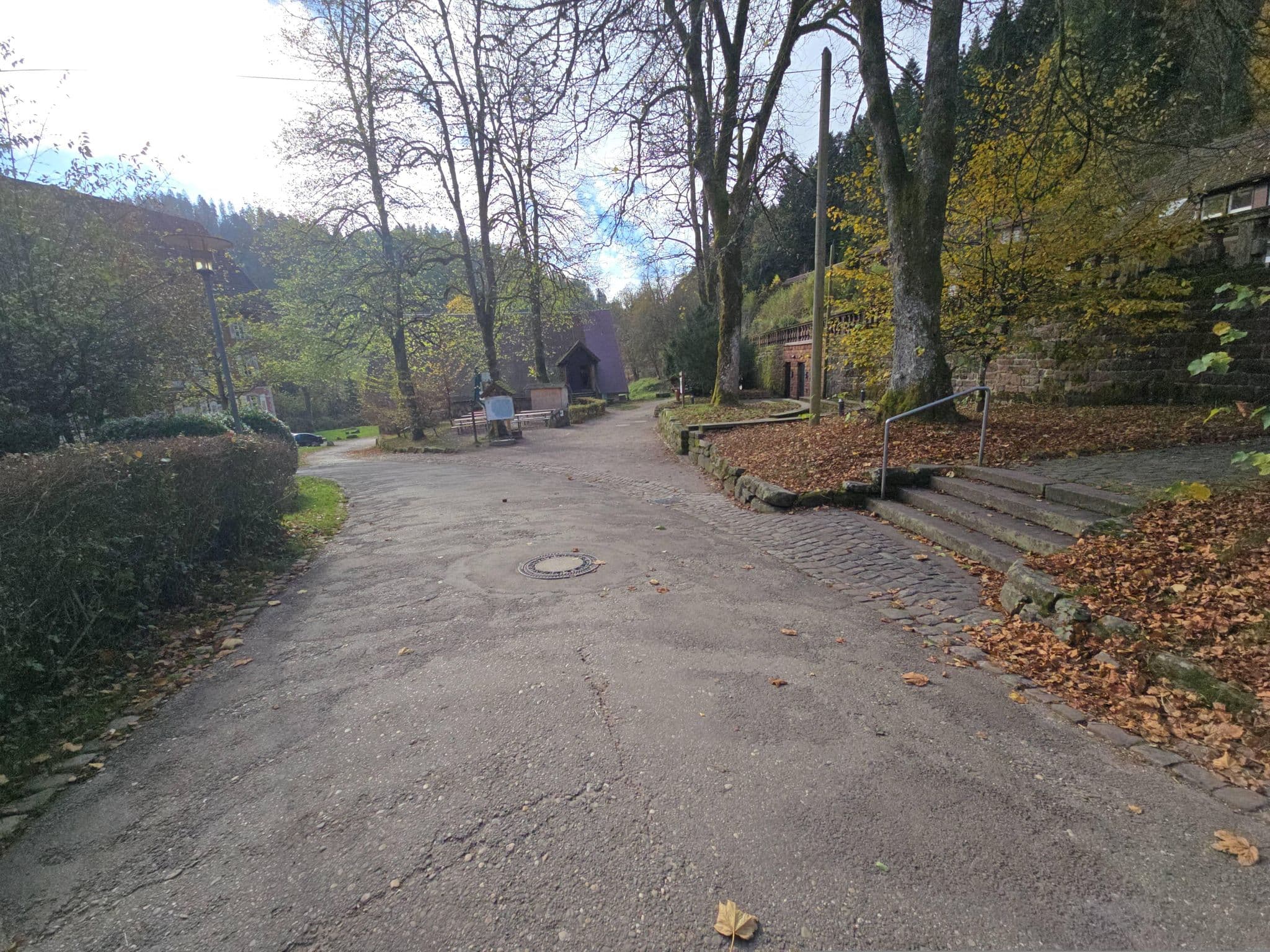 Street view near Villa Schauenburg, Oppenau — © changchun1 (CC BY-SA · Mapillary)