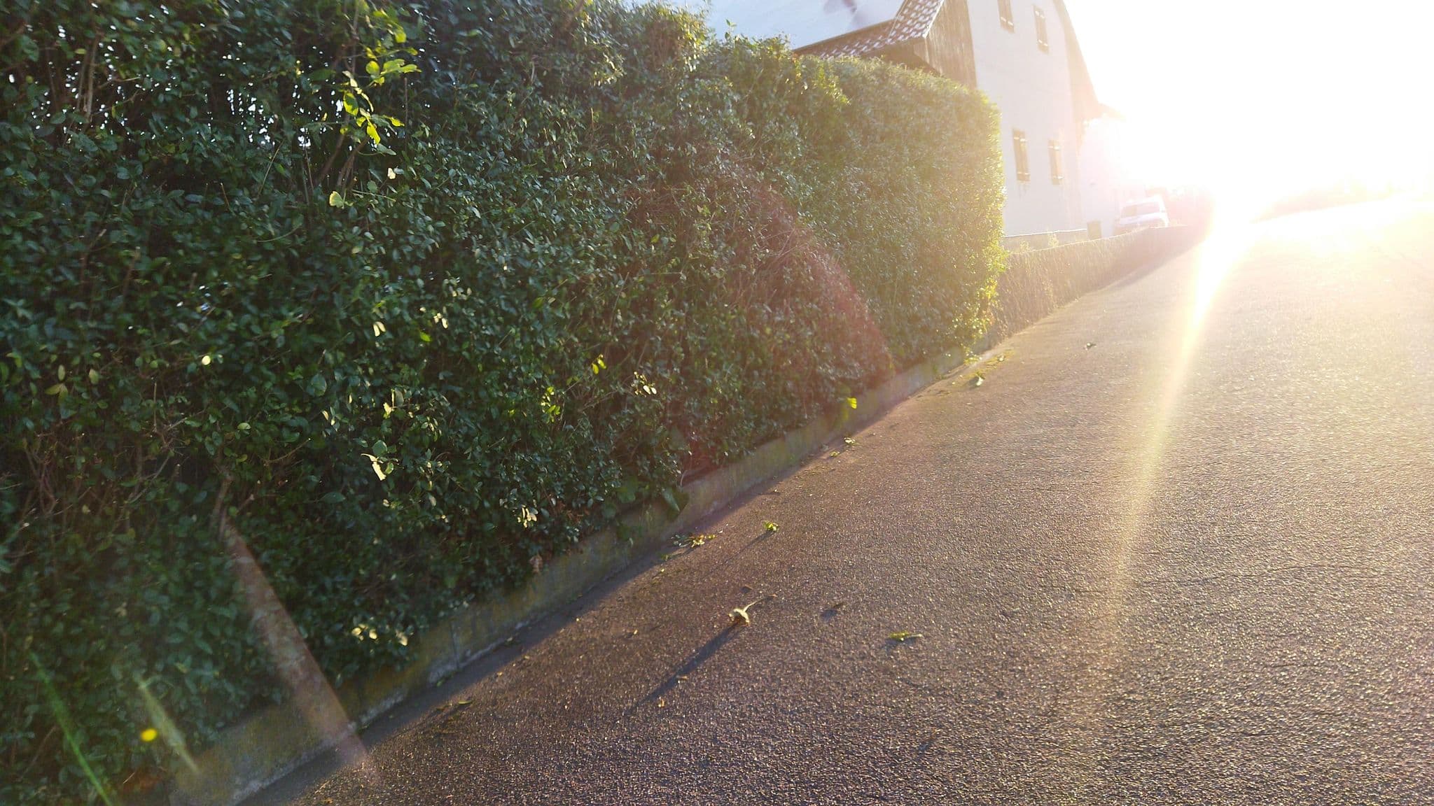 Street view near Landpension Kohler, Brackenheim — © changchun1 (CC BY-SA · Mapillary)