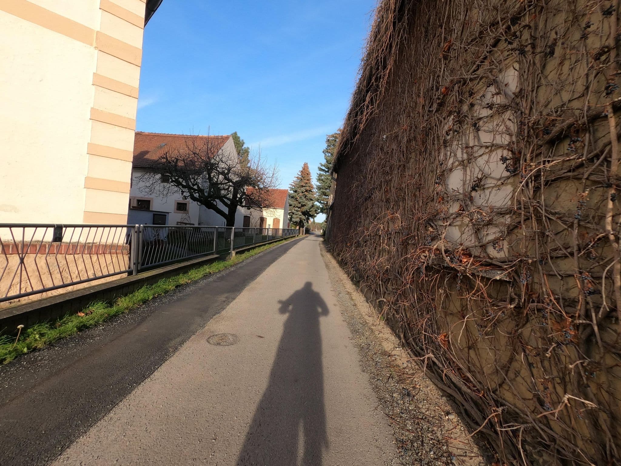 Street view near Pension Adler, Ortrand — © Suricata (CC BY-SA · Mapillary)