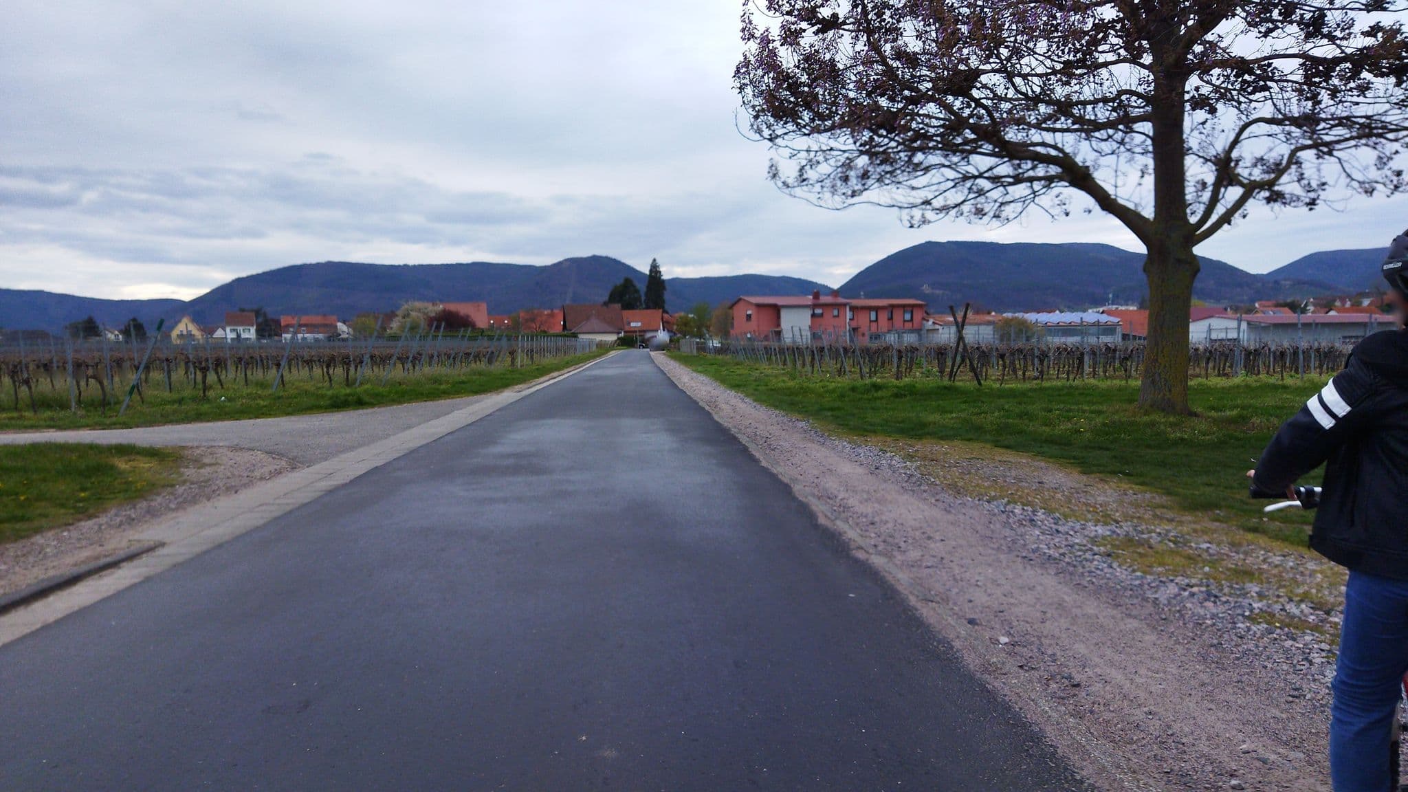 Street view near Wohnmobilstellplatz Brennerei & Weinstube Göring - Edenkoben, Edenkoben — © changchun1 (CC BY-SA · Mapillary)