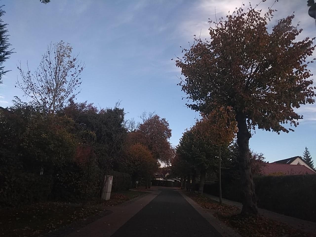 Street view near Blaues Haus, Zingst — © thetornado76 (CC BY-SA · Mapillary)