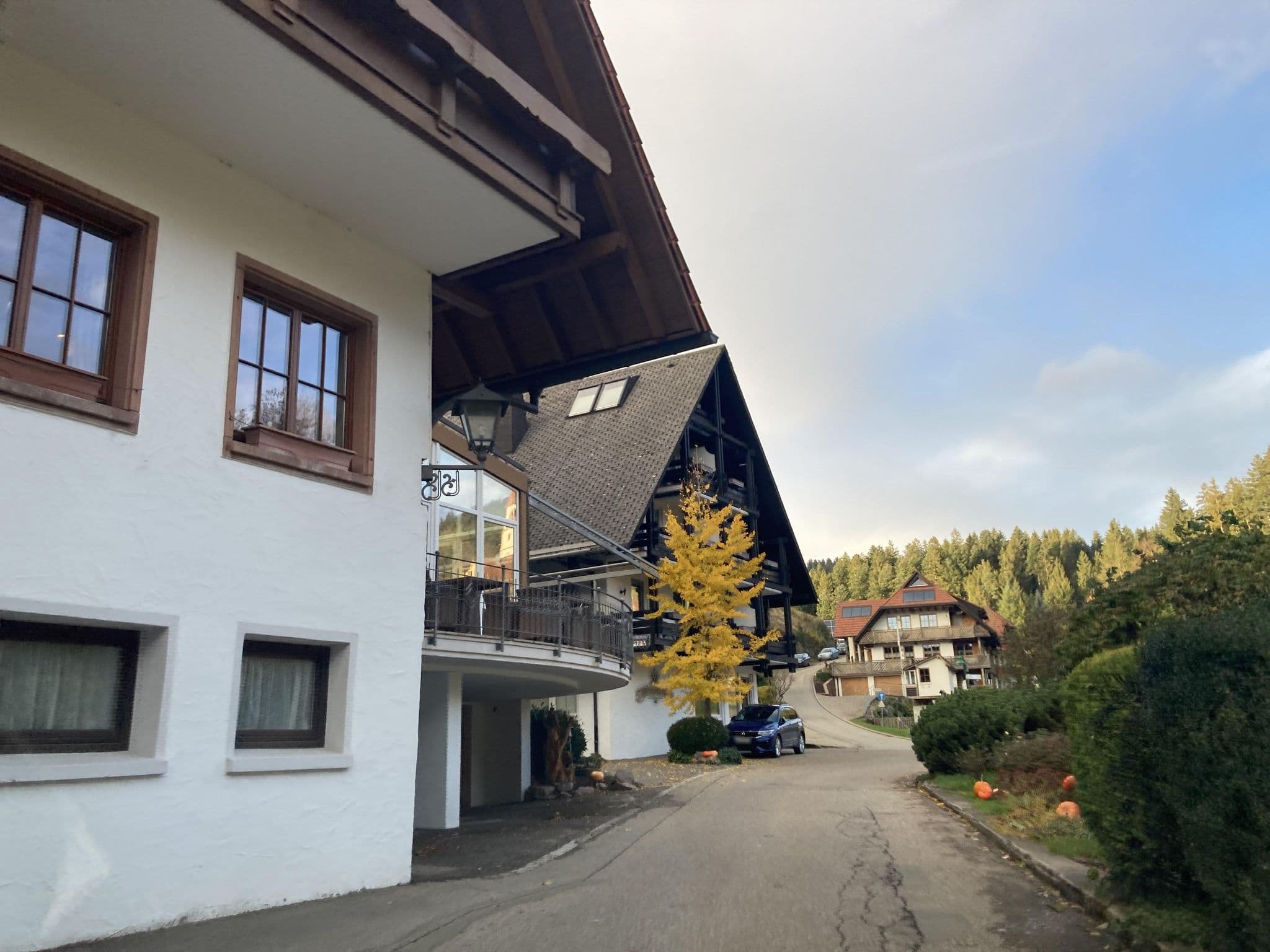 Street view near Naturparkhotel Adler, Oberwolfach — © tasmaniadevil (CC BY-SA · Mapillary)