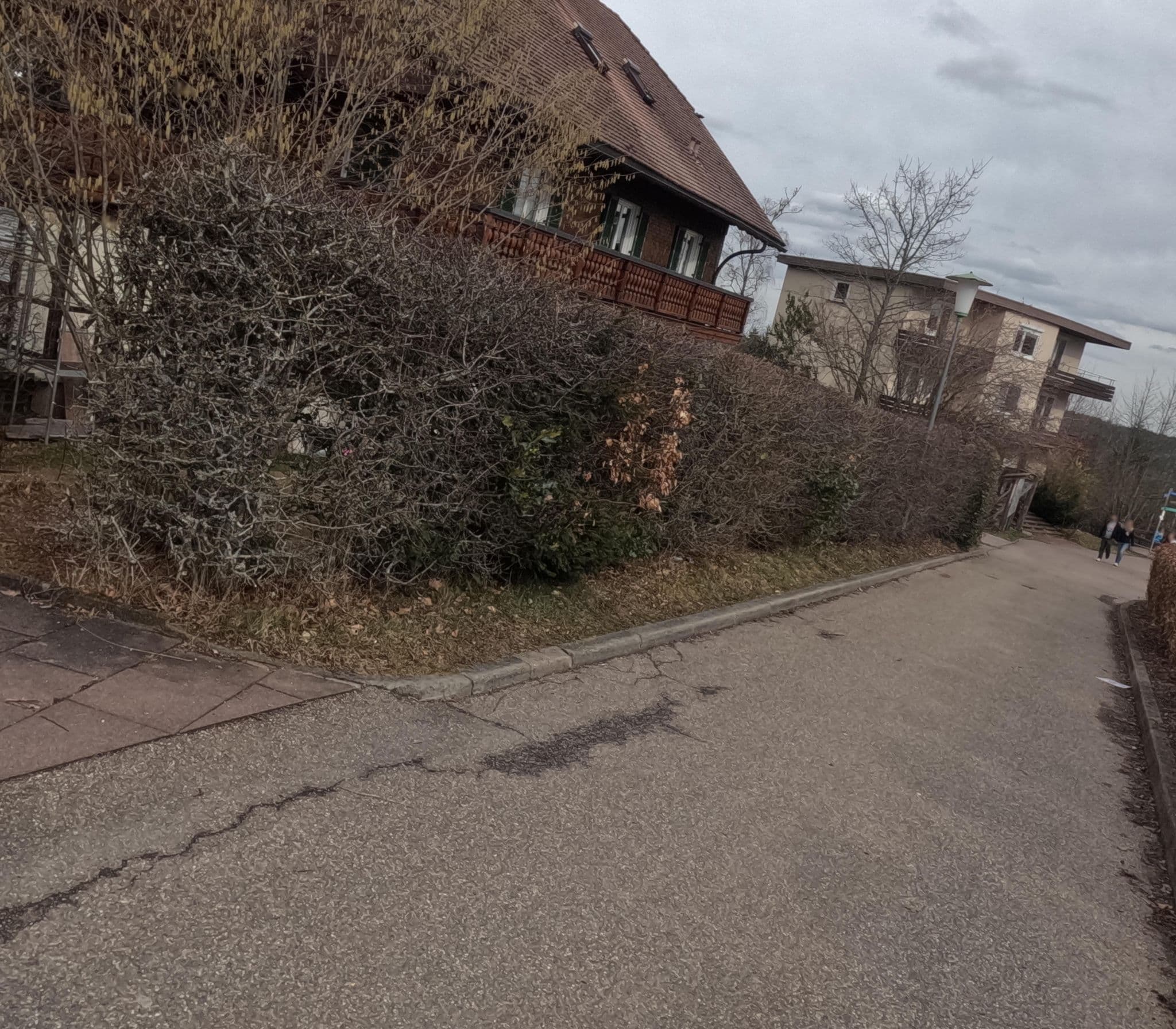 Street view near Auerhahn, Bad Wildbad — © chuck (CC BY-SA · Mapillary)